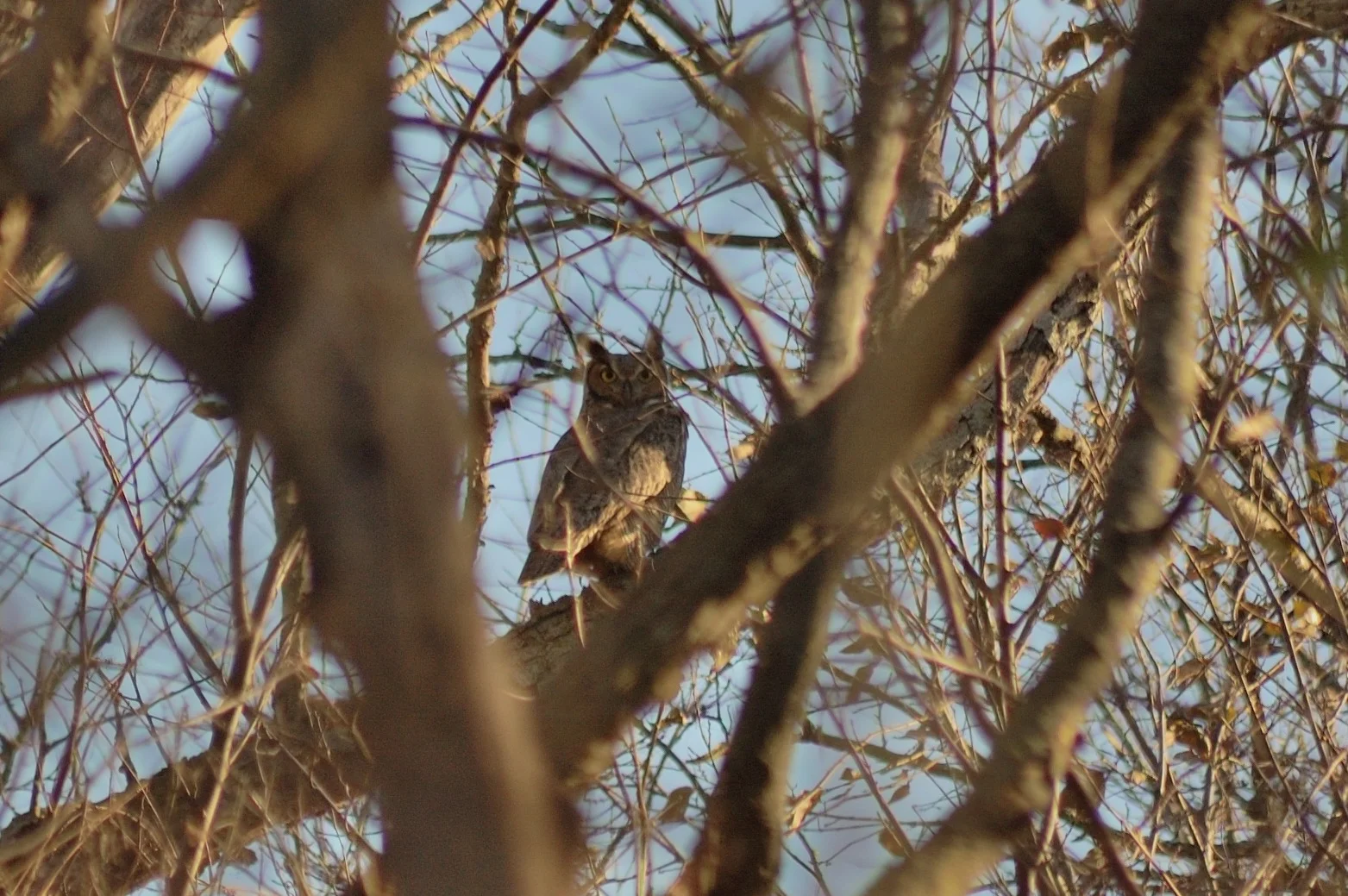 My first sighting.