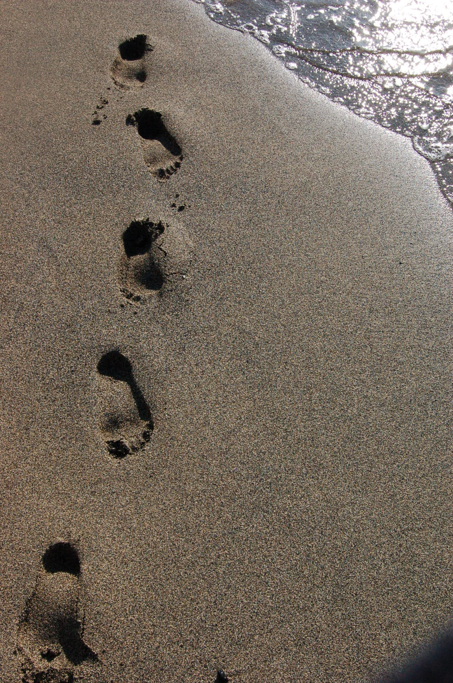 Footprints in the sand.