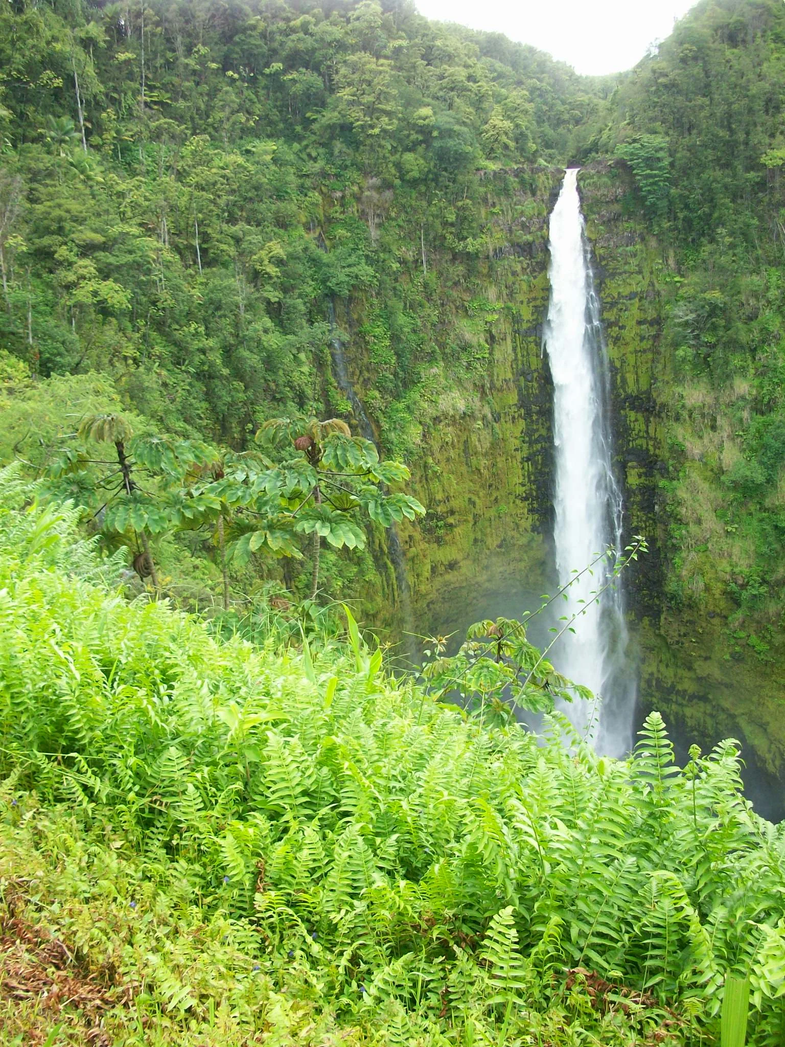 Akaka Falls