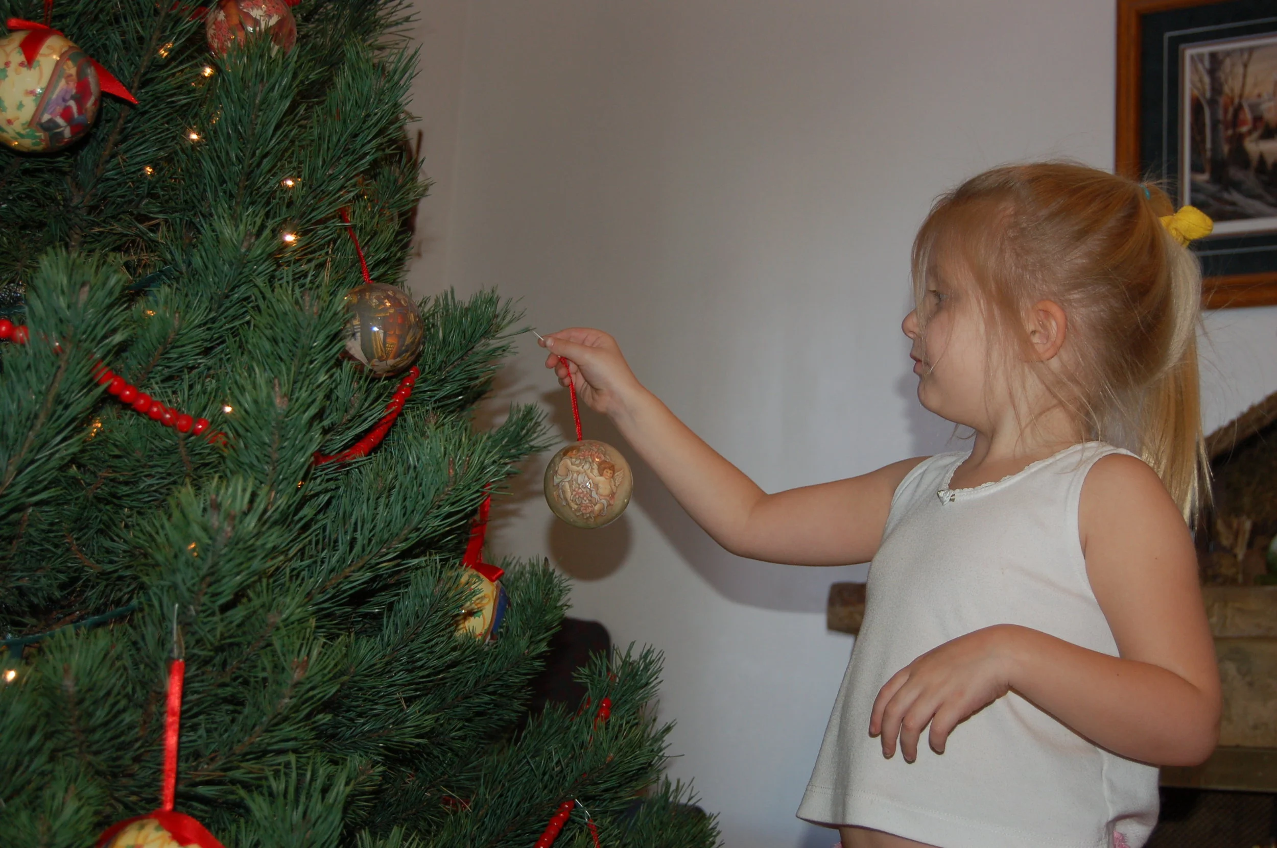 Decorating the Christmas Tree is always a favorite. We've had a real tree every year and I wouldn't trade it for anything! One of my favorite traditions is going out Thanksgiving break and cutting it down.