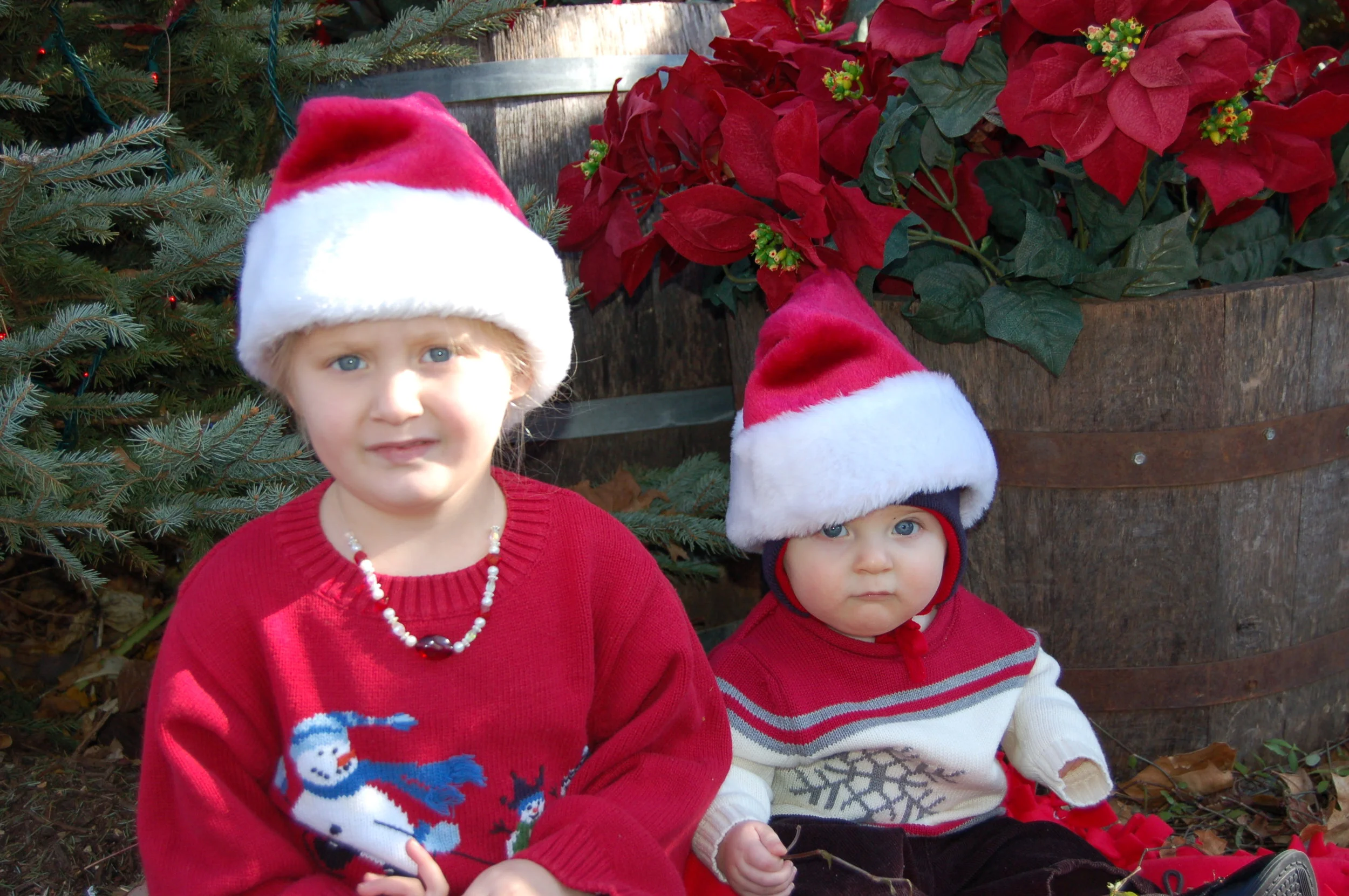 Another Christmas at Silver Dollar City.