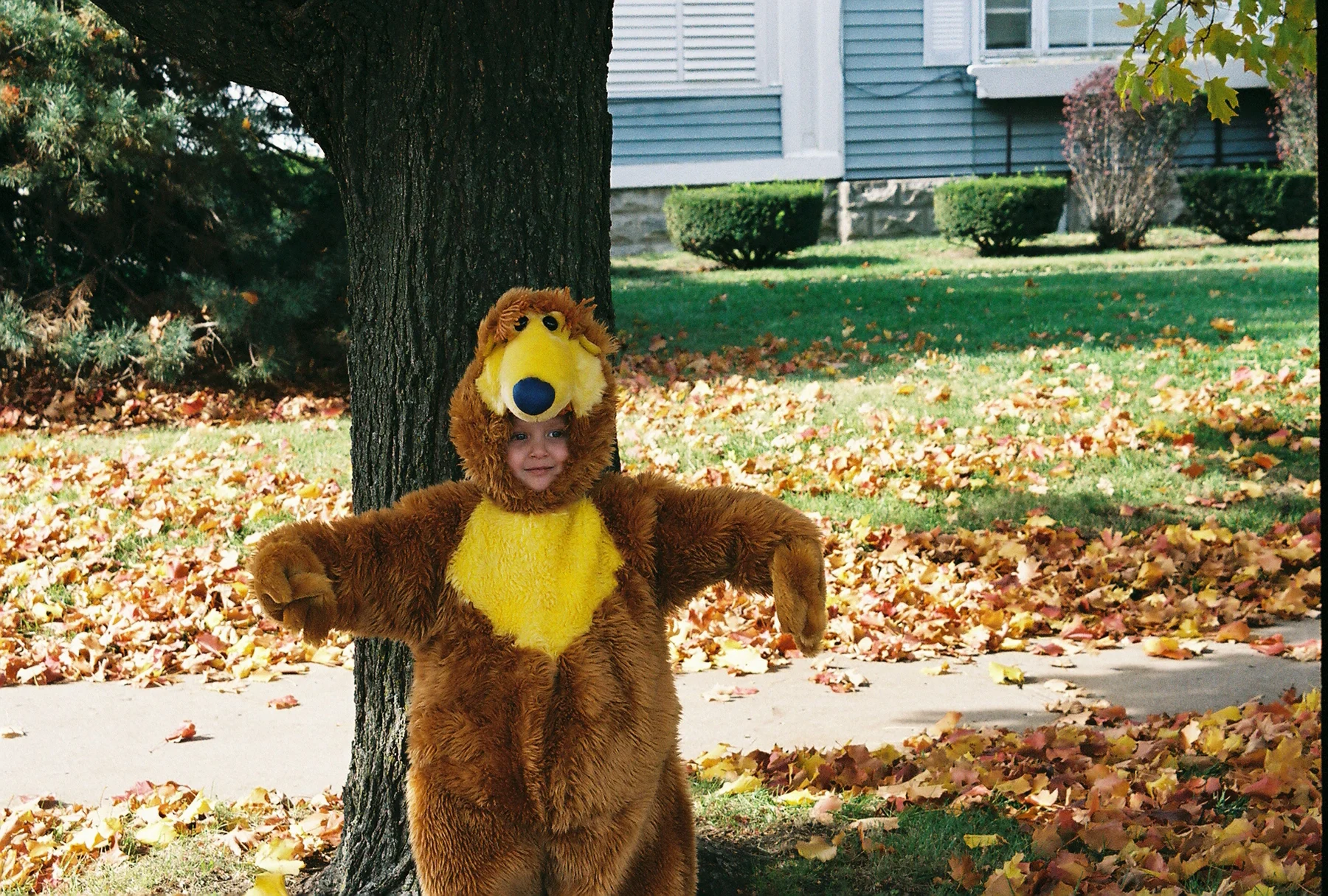 A cute bear at Halloween. I don't remember where we got this costume, but it is by far one of my favorites!