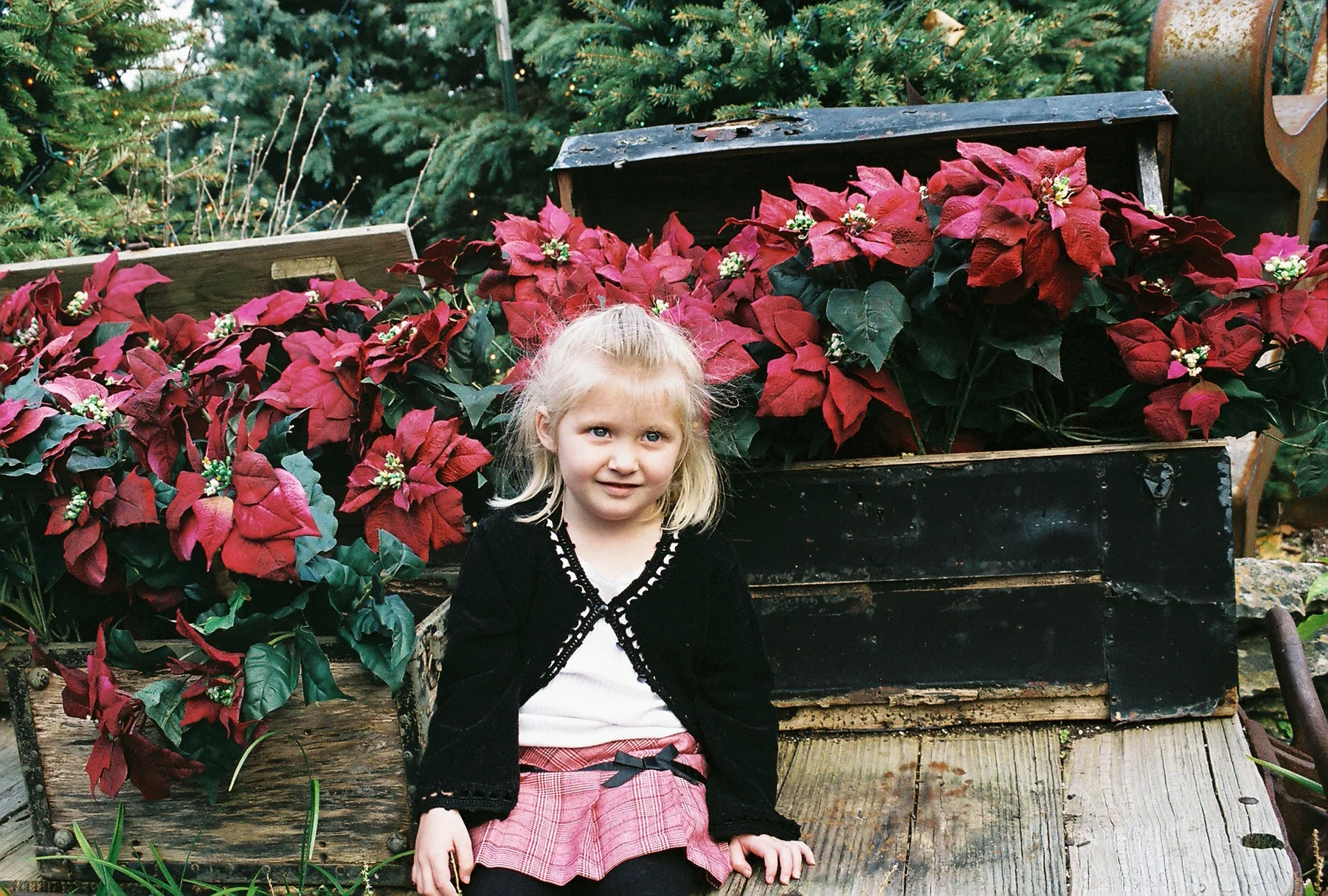 Christmas at Silver Dollar City. If you haven't been there at Christmas time, it is amazing. I highly recommend it!