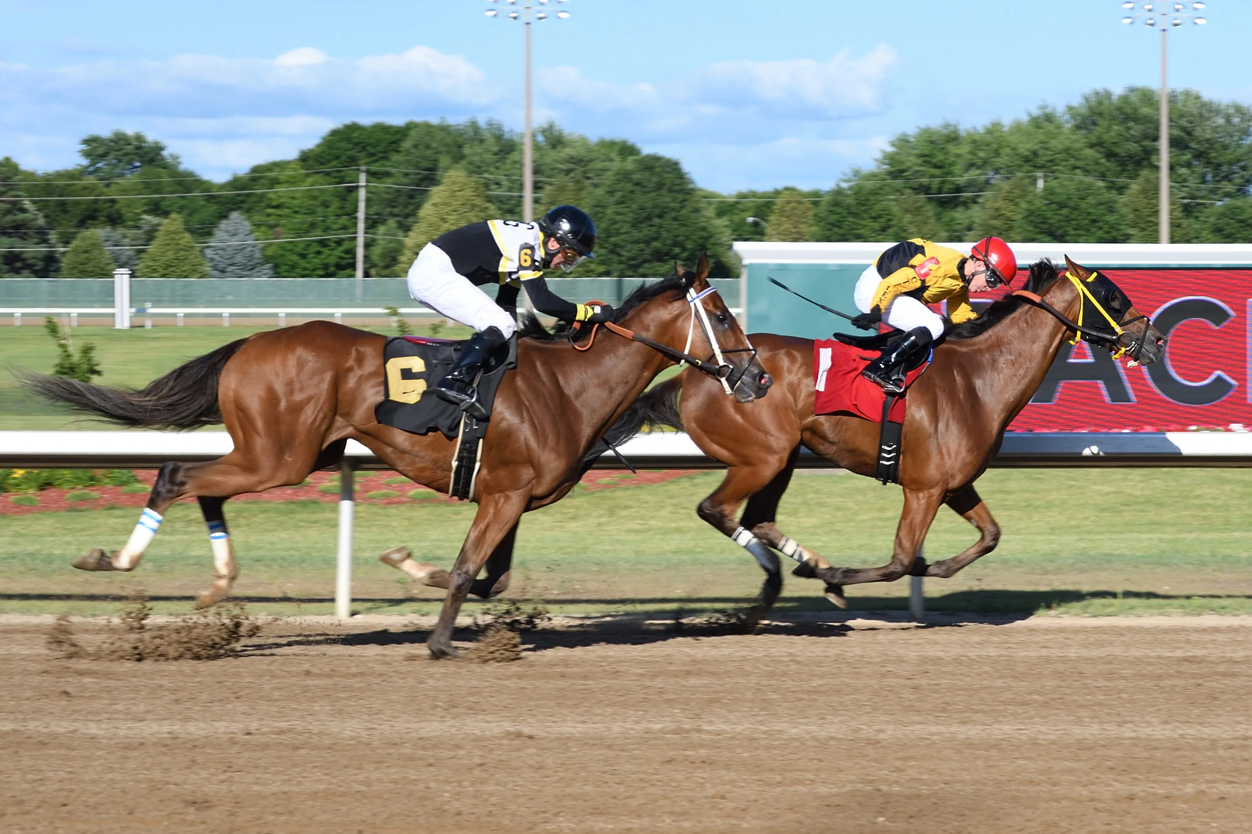 prairie-meadows_35864965995_o.jpg