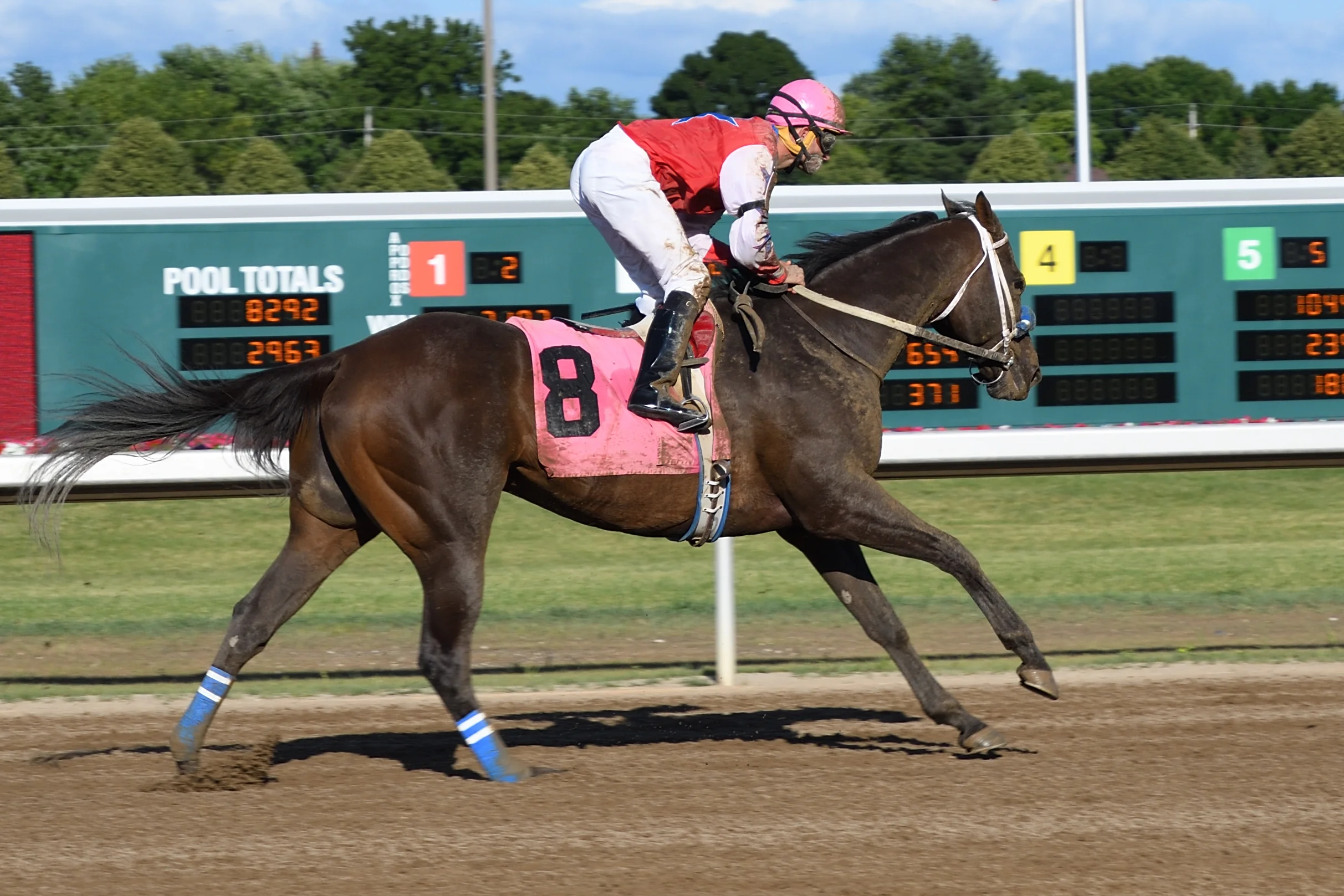 prairie-meadows_35864946995_o.jpg