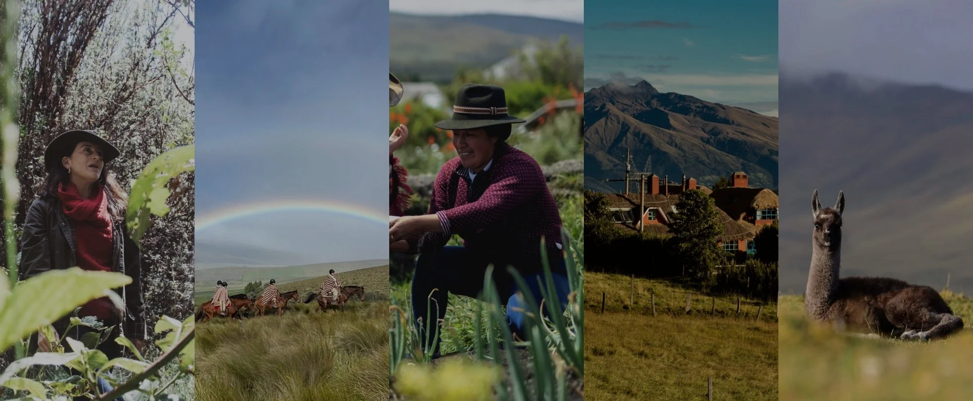 Ecuador Medicine-1.jpeg