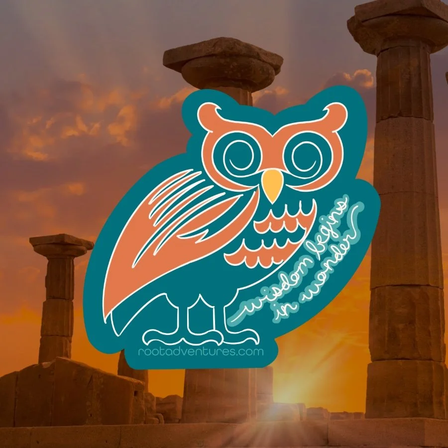 Destination Shop-48-3.jpeg