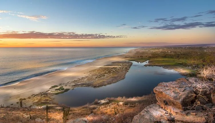 The rugged coast of Todos Santos