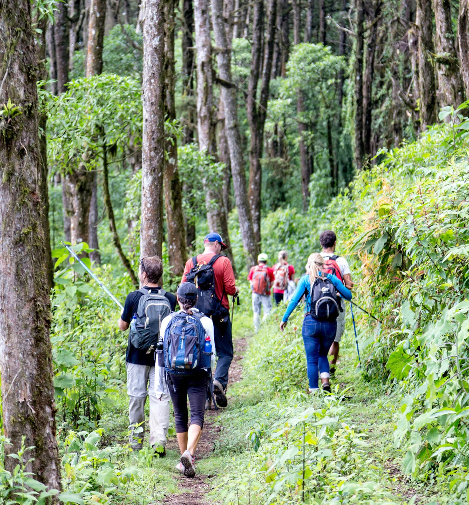 Mayan Community Glamping Trek - Highlands Trek1.jpg