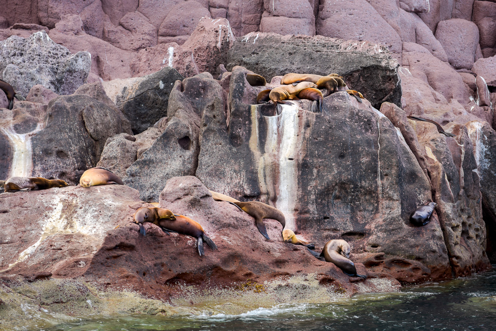 DSC_6748.jpg