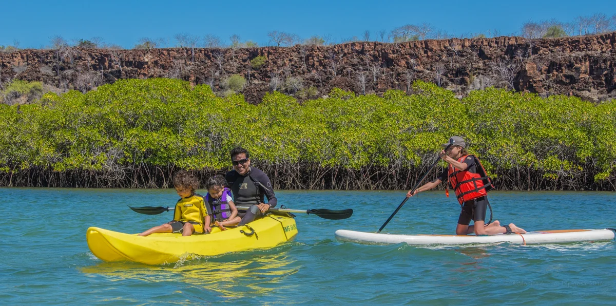 Kayaking in the Galapagos offers endless opportunities for wildlife viewing. Meals: B | L Flights: Quito to Baltra (stop in Guayaquil)
