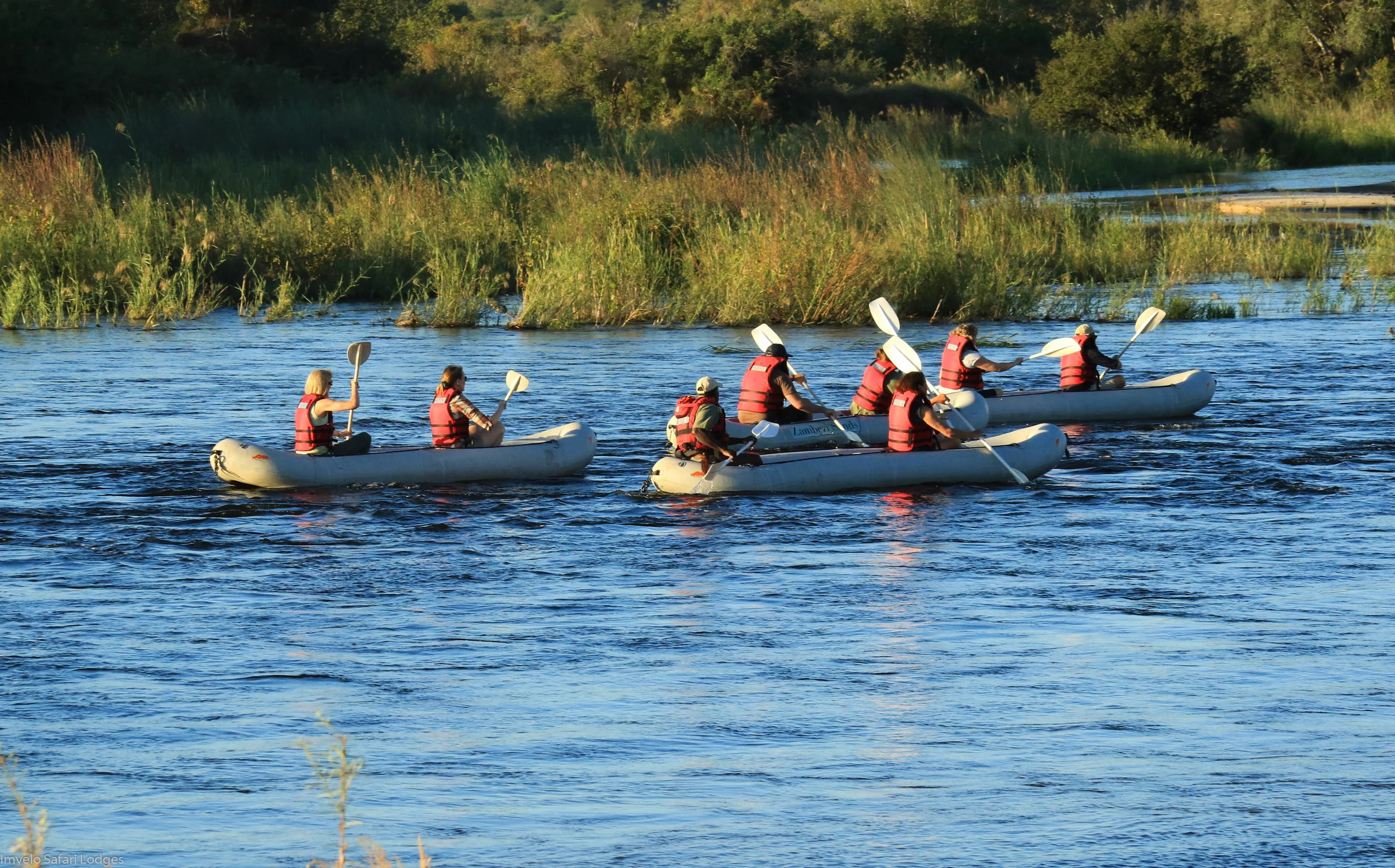 48 - Imvelo Safari Lodges - Zambezi Sands.jpg