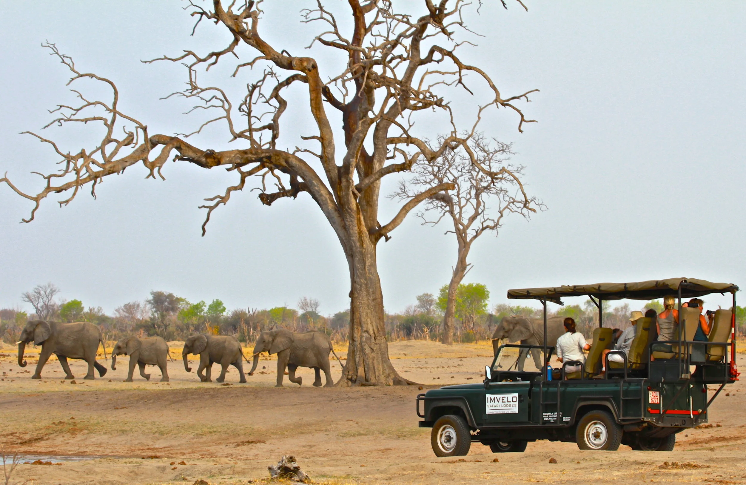 23. Imvelo Safari Lodges - Bomani Tented Lodge - Game viewing by Land Rover.jpg