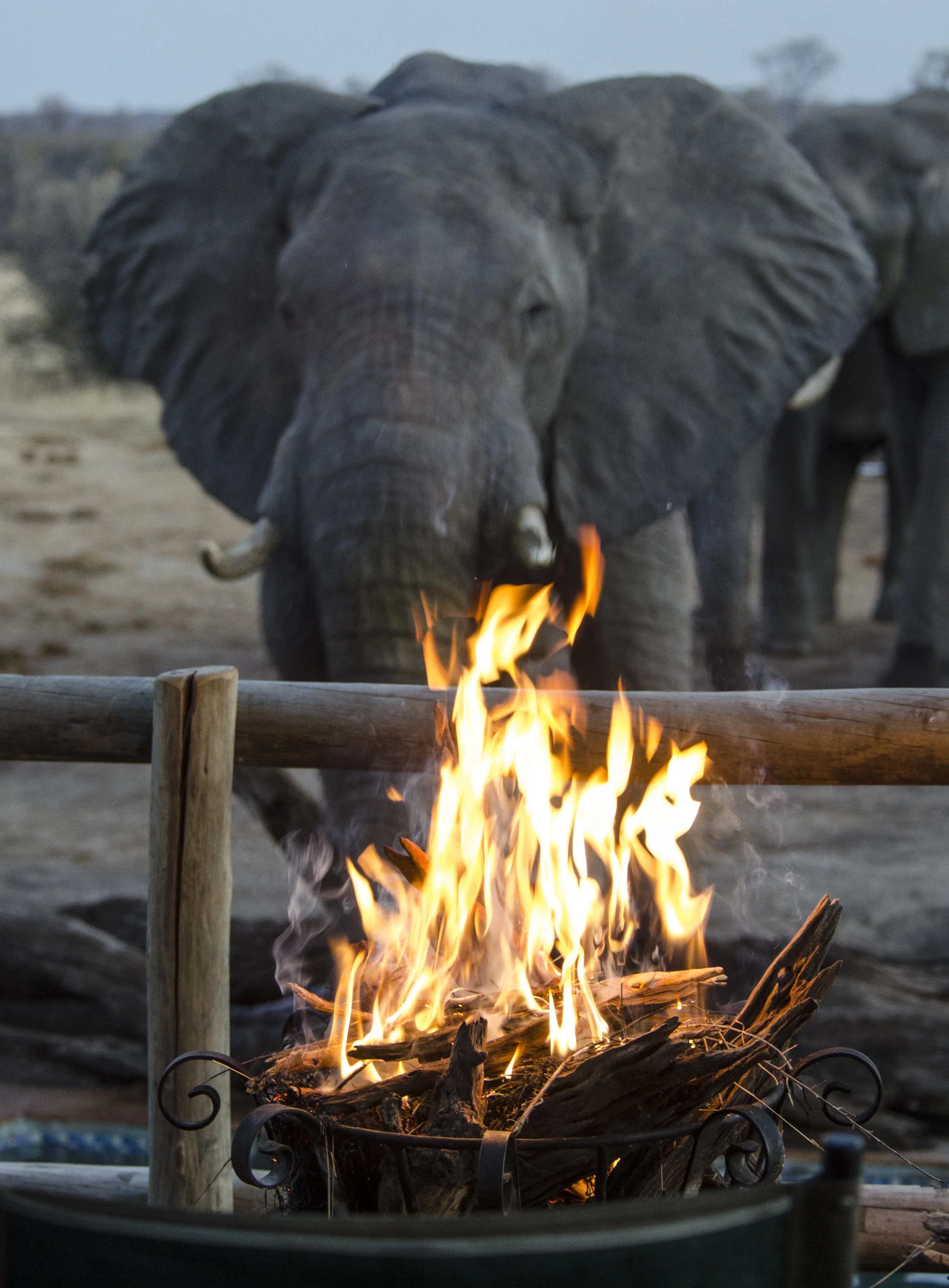51 - Imvelo Safari Lodges - Nehimba.jpg