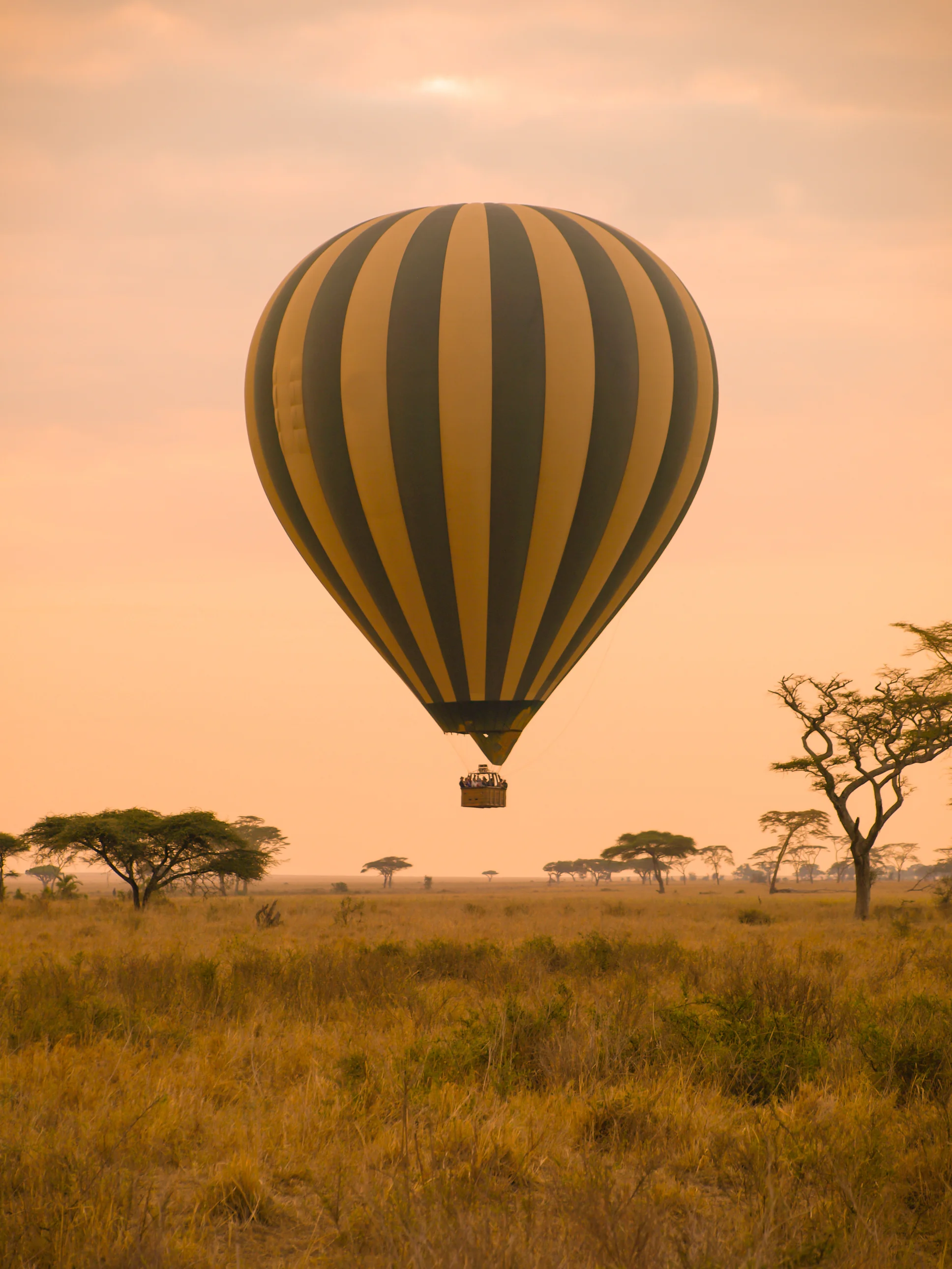 hot air balloon sunrise.jpg