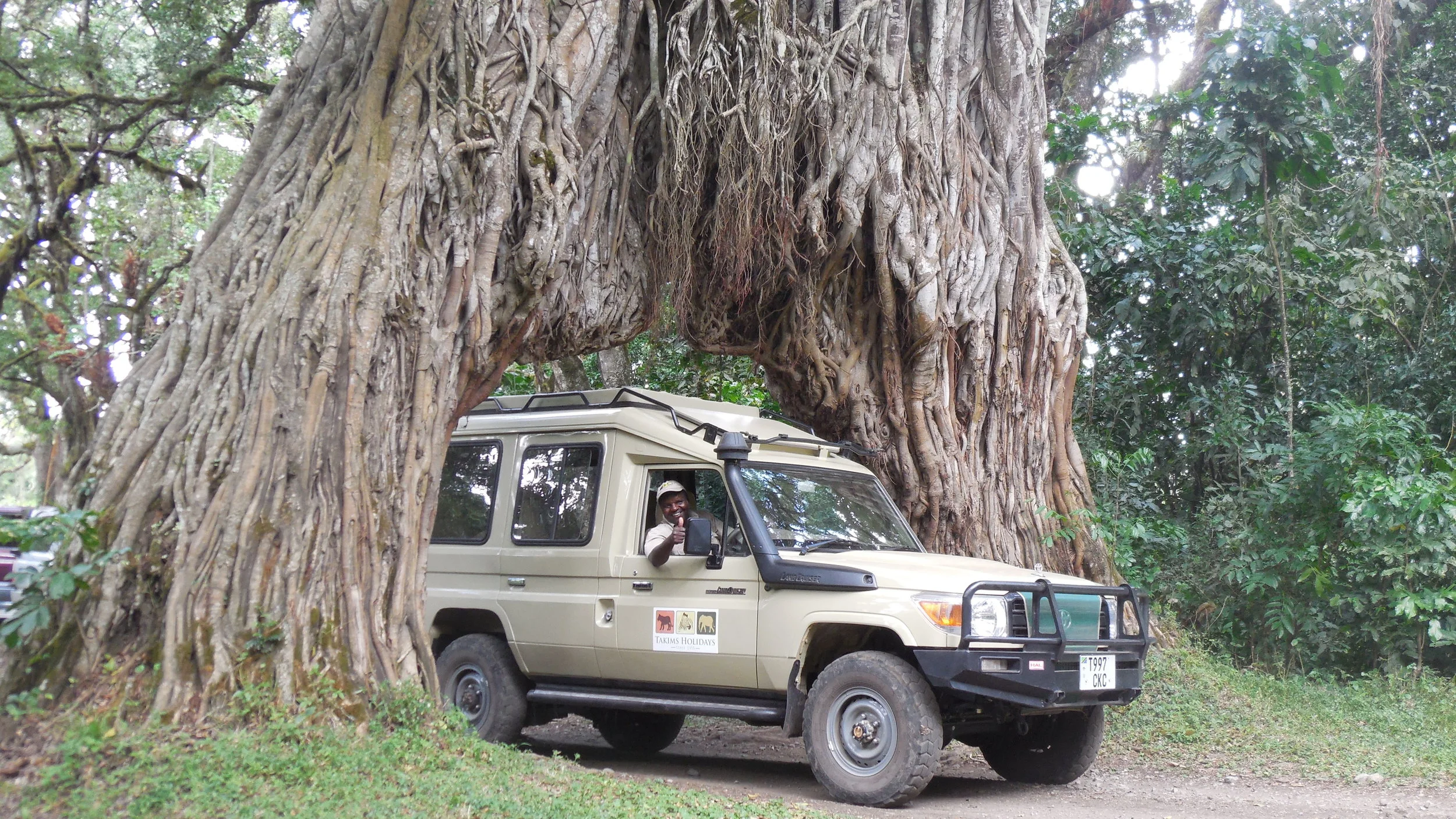 Vehicle under tree.jpg