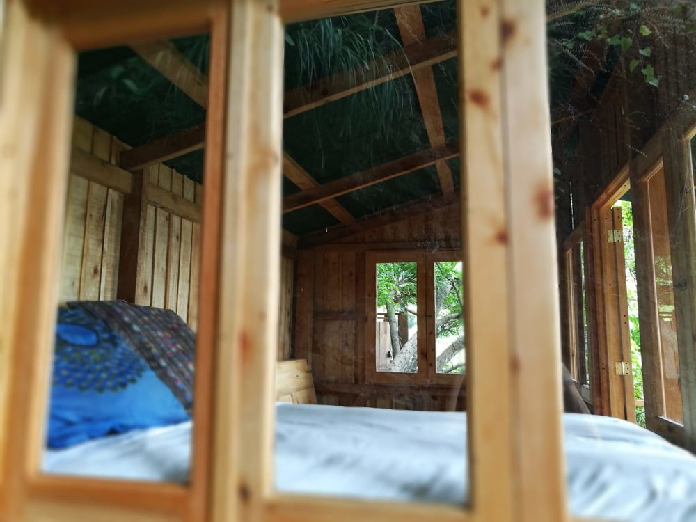 cabin3.jpeg