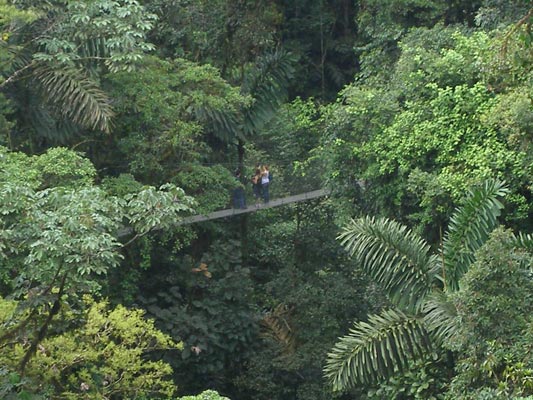 Arenal Hanging Bridge.jpg