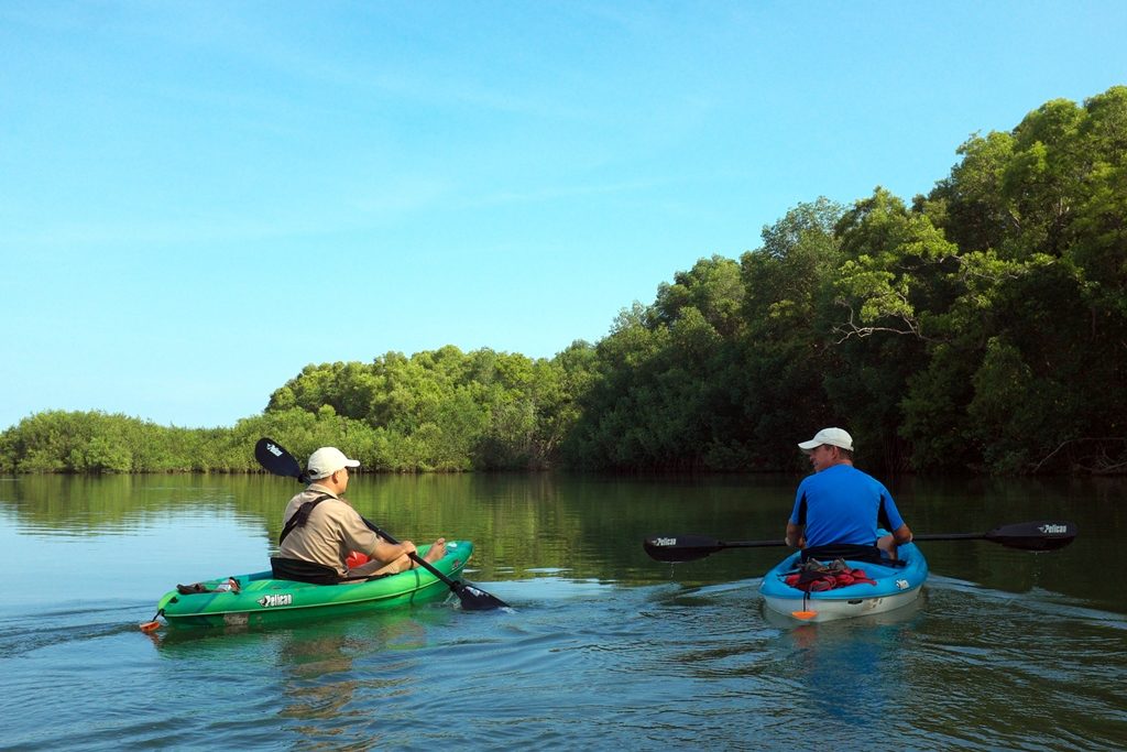 Kayak-tour-at-Largarta-Lodge-mangroves-copia-1024x683.jpg
