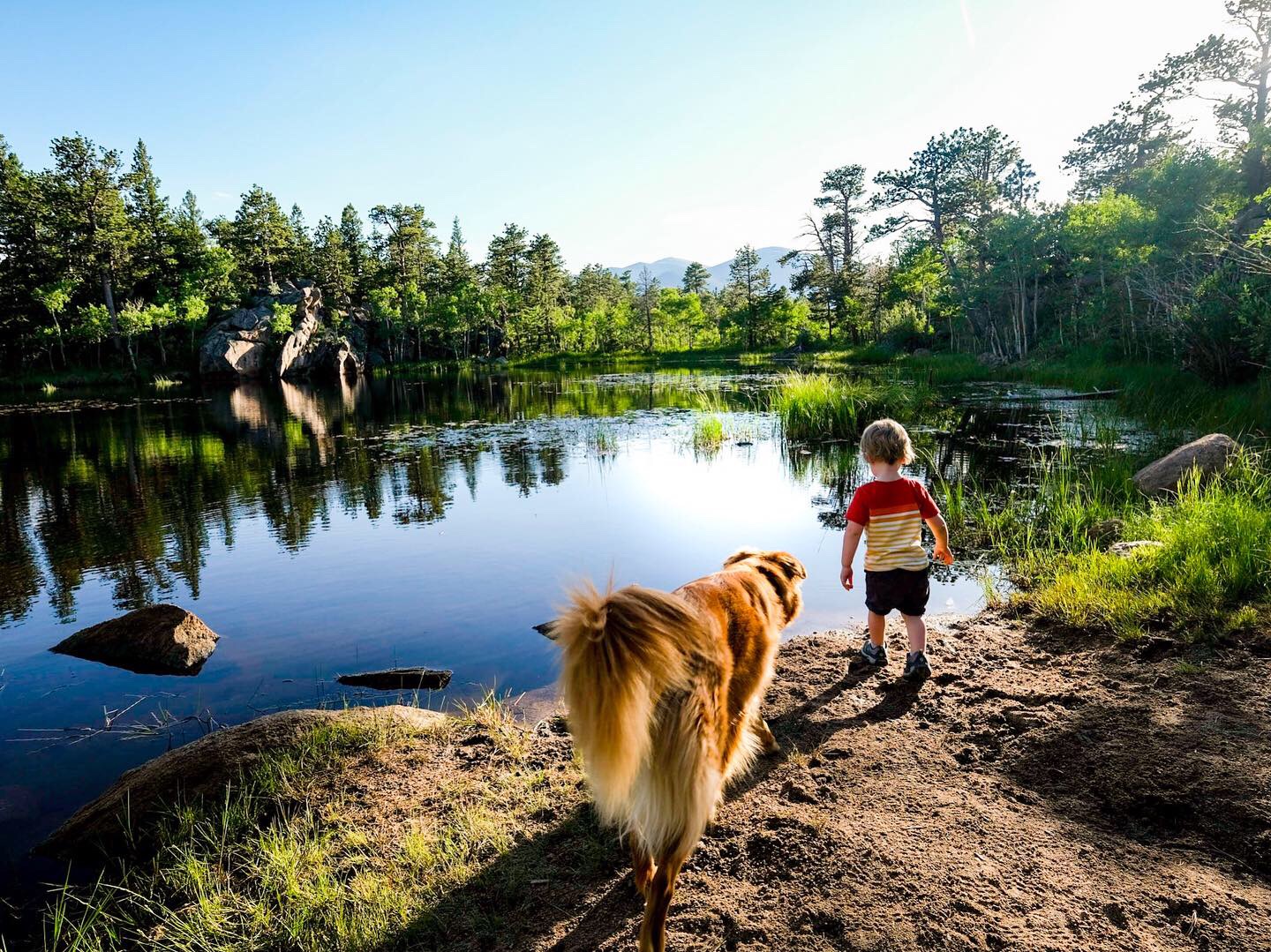 solo-backpacking-with-a-toddler-you-can-do-it-root-adventures