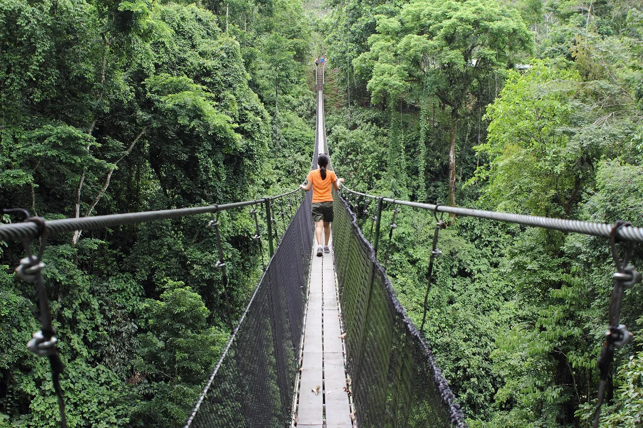 Costa-Rica-Hanging-Bridge-Campesinos-Reserve-Walking-Kusini-Collection.jpg