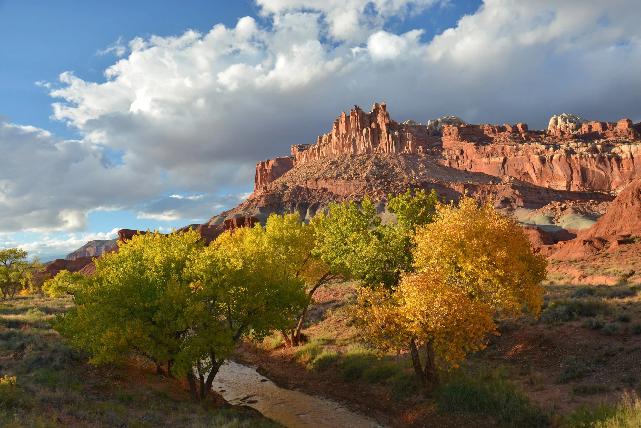 Capitol Reef NP Fall (1).jpeg