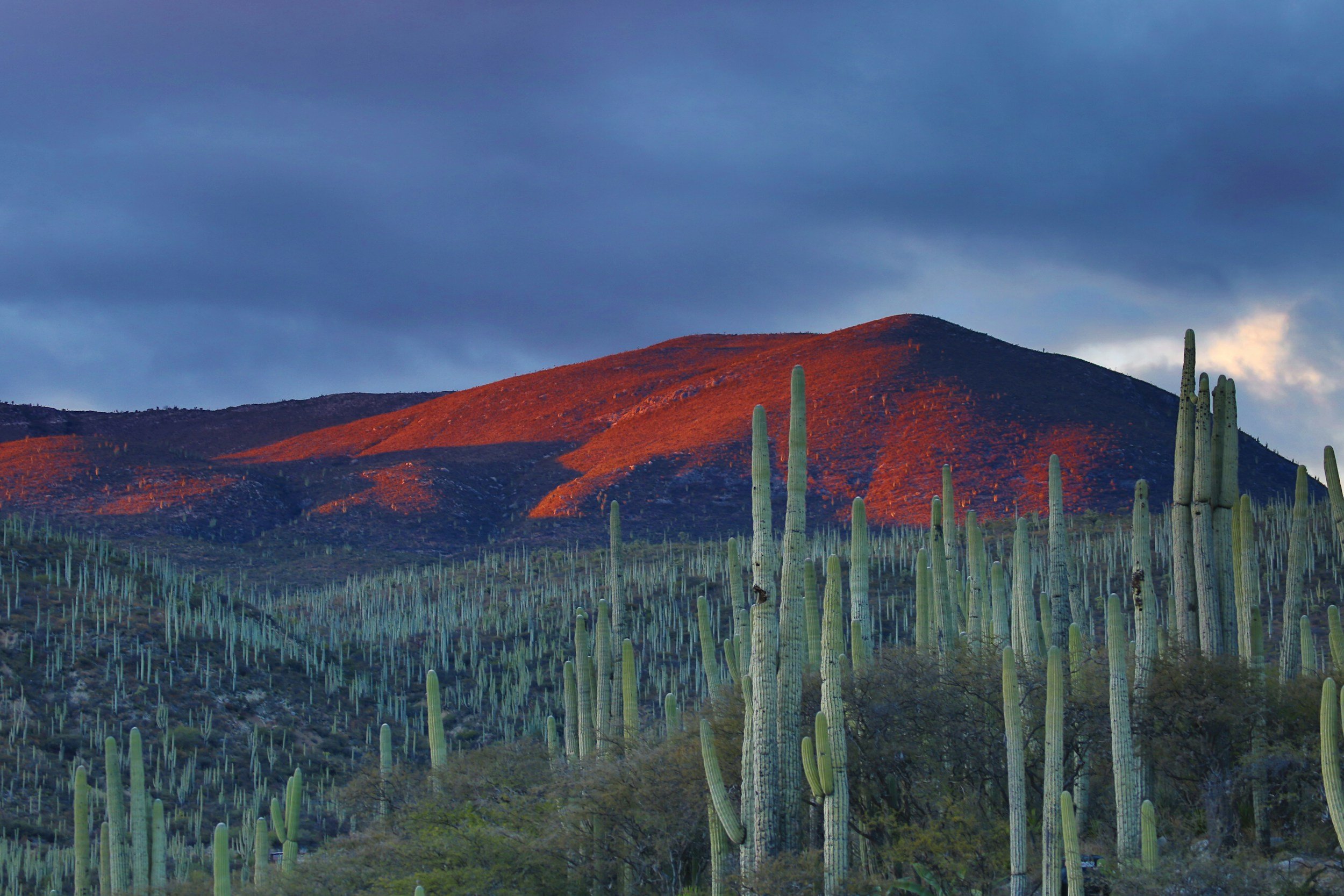 Oaxaca Food, Yoga & Mountain Immersion