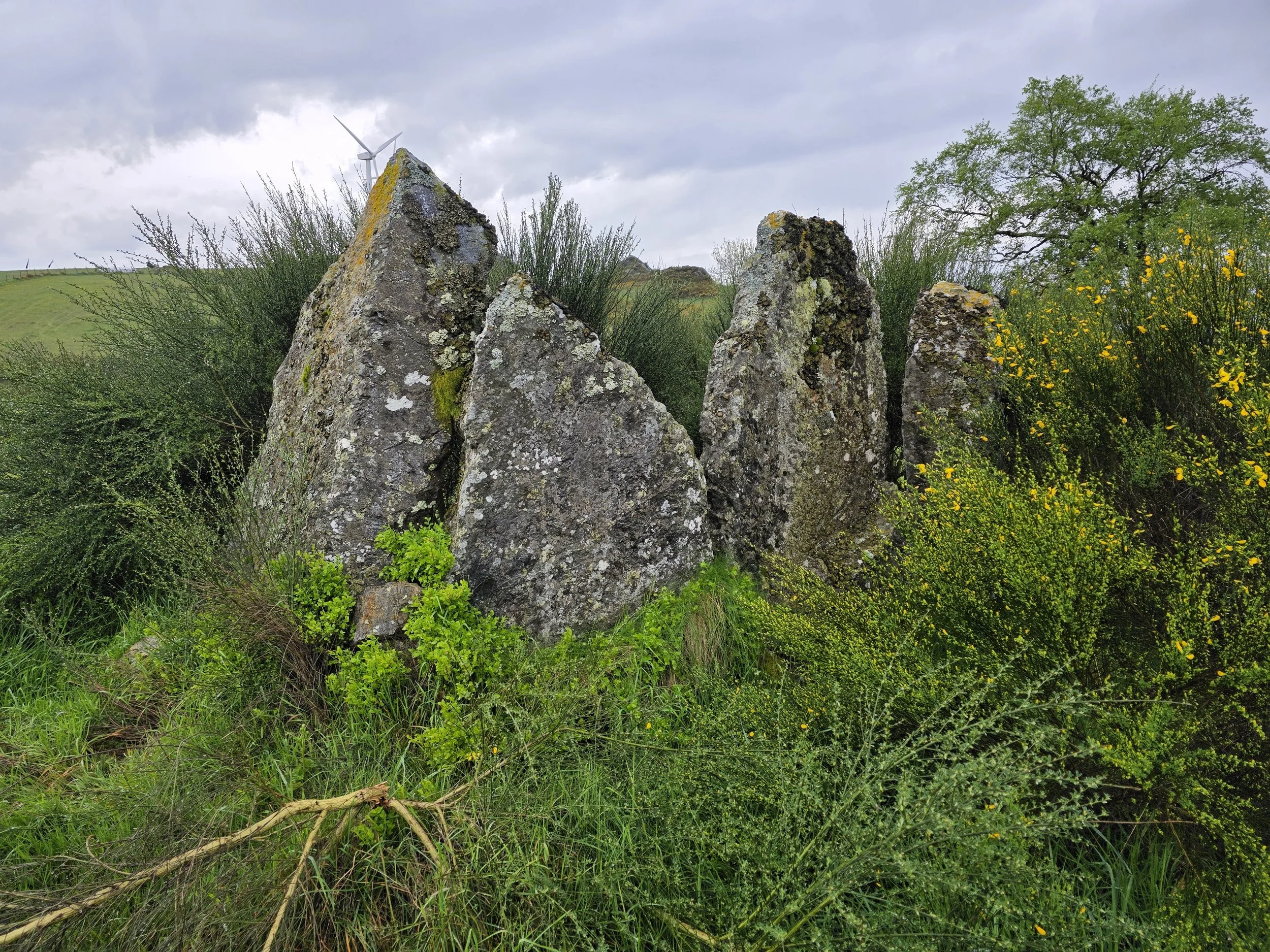 20250430_172120.jpg