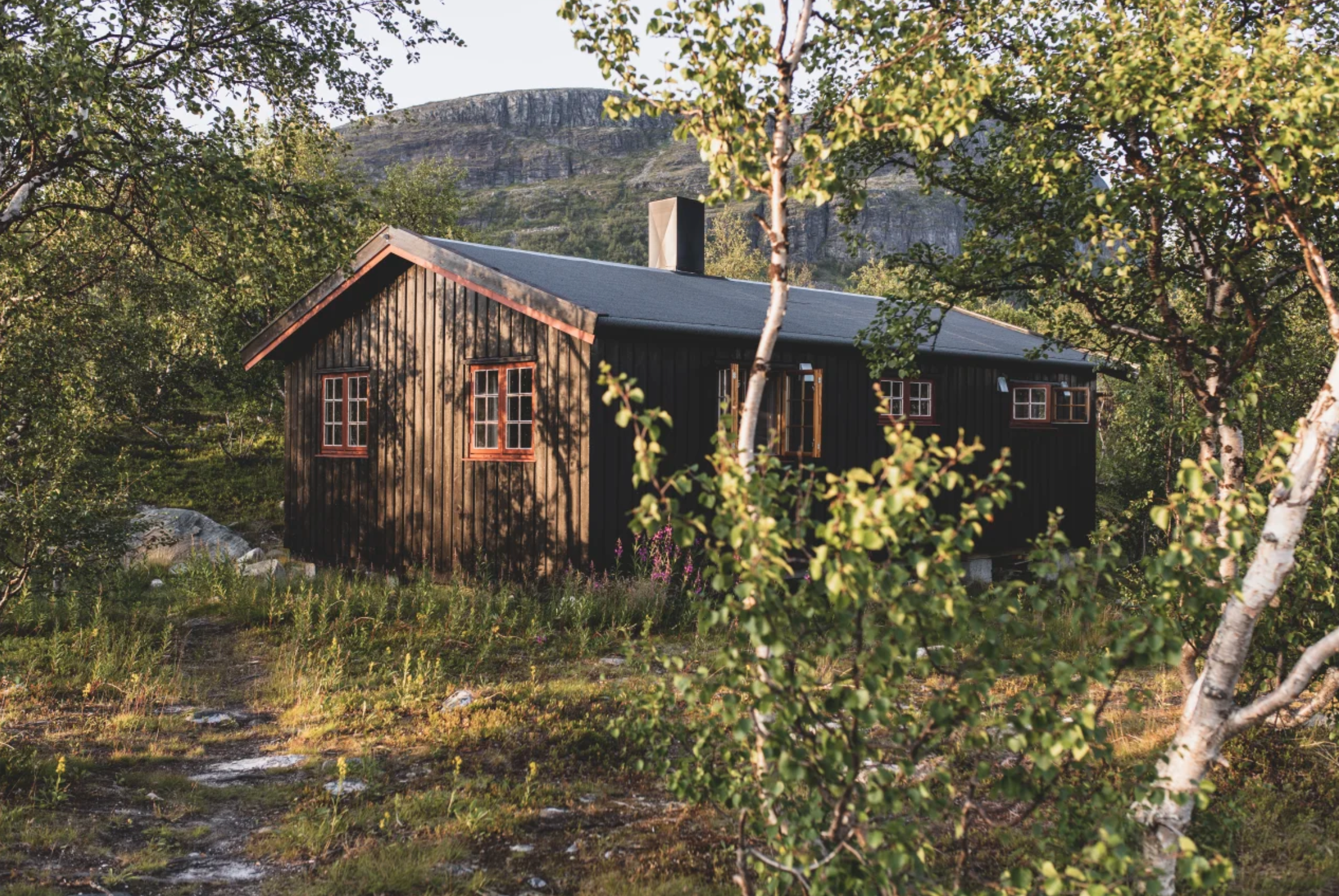 Screenshot 2026-01-30 at 1.13.22 PM.png