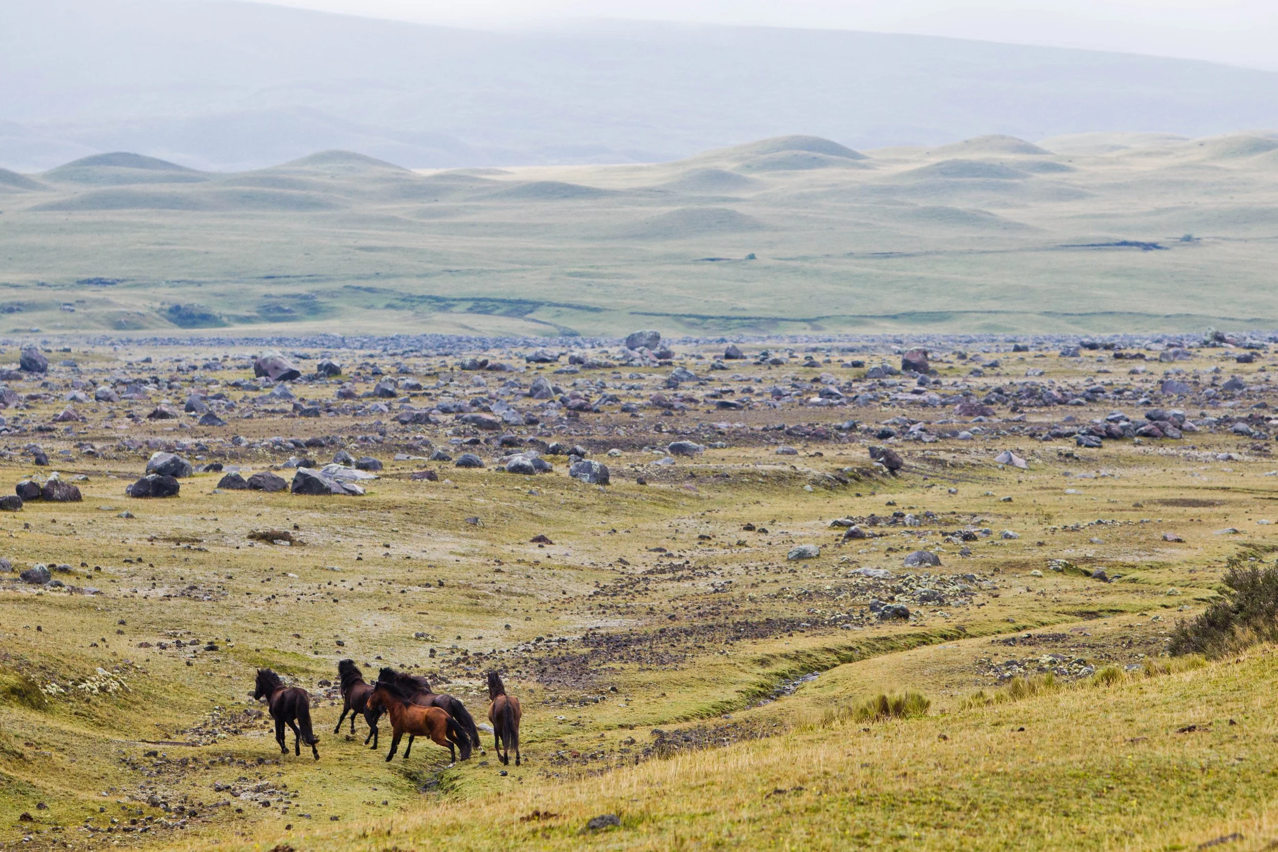 Conservación 10.jpg