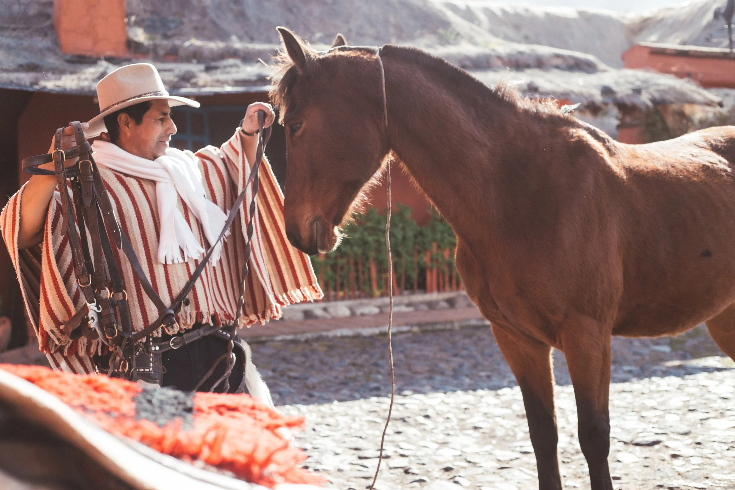 Preparación Cabalgata 5.jpg