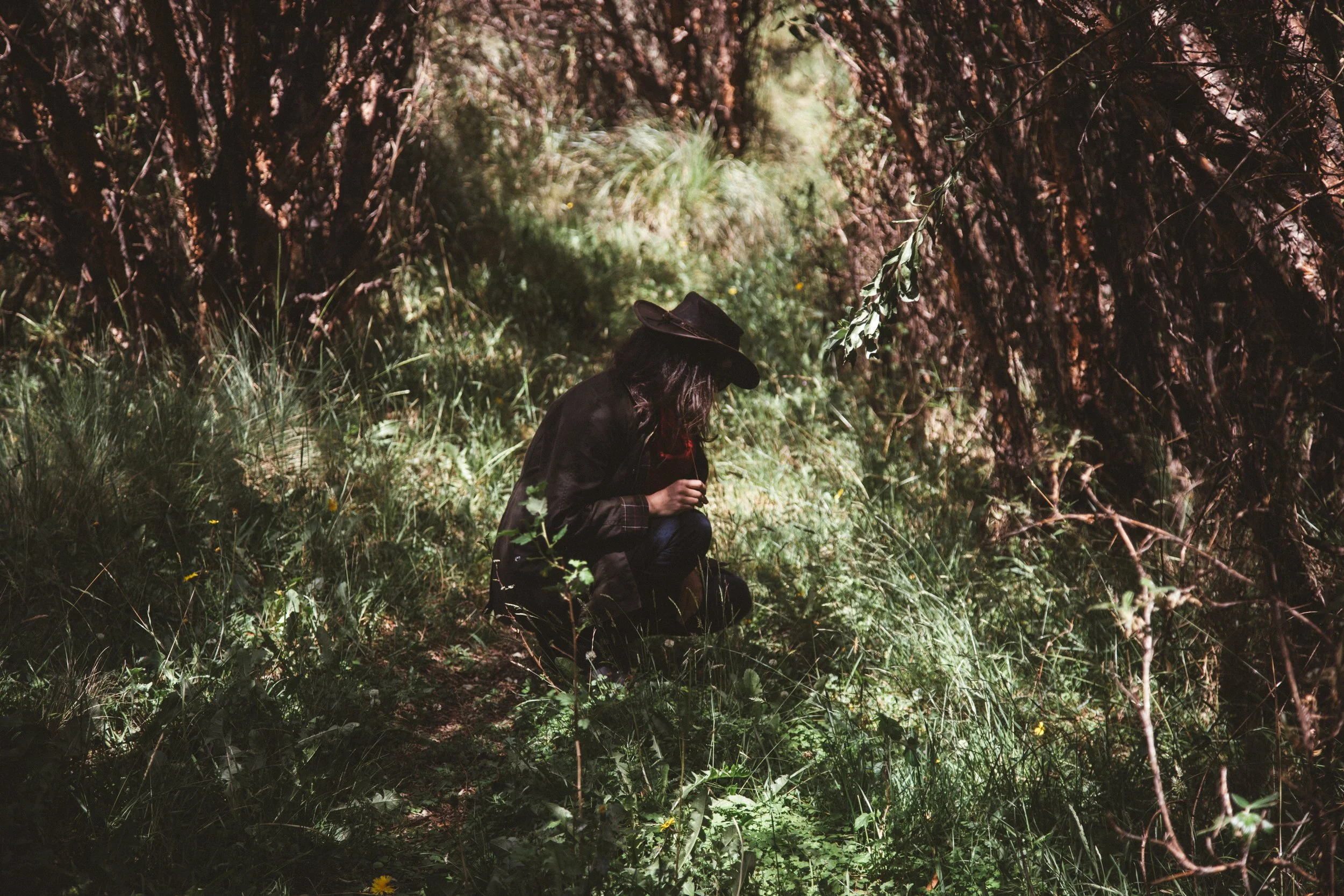 Reforestación 3.jpg