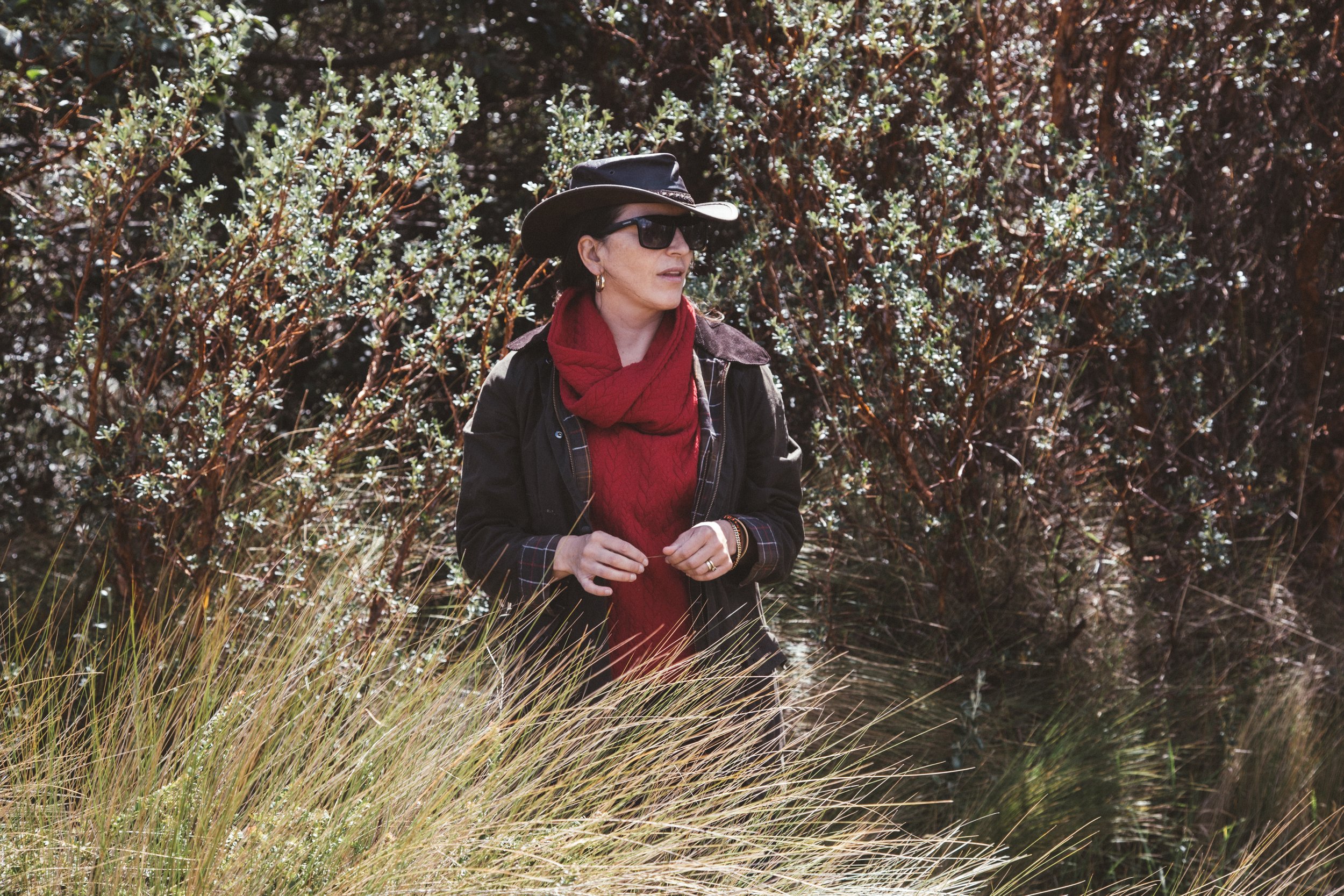 Reforestación 31.jpg