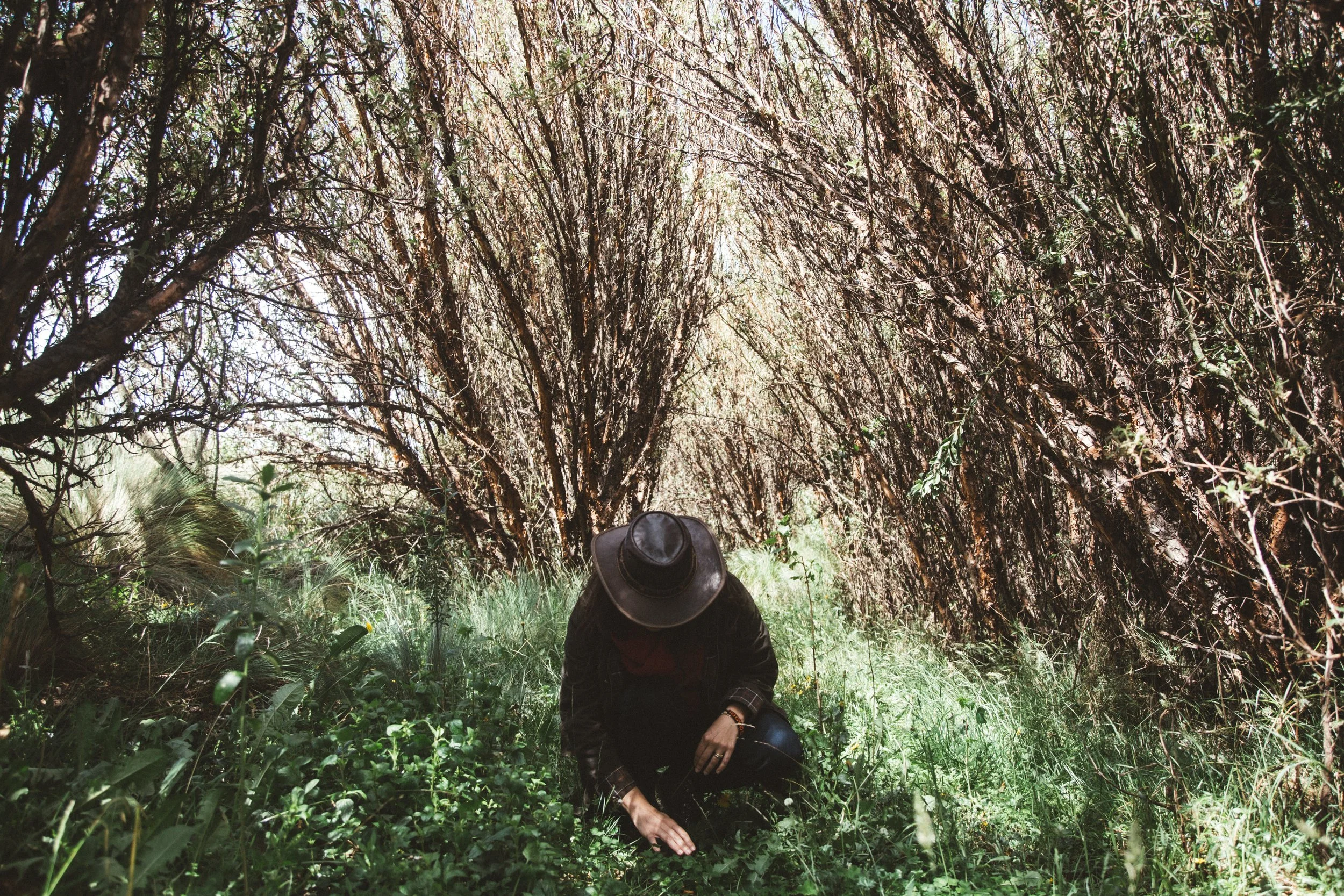 Reforestación 34.jpg