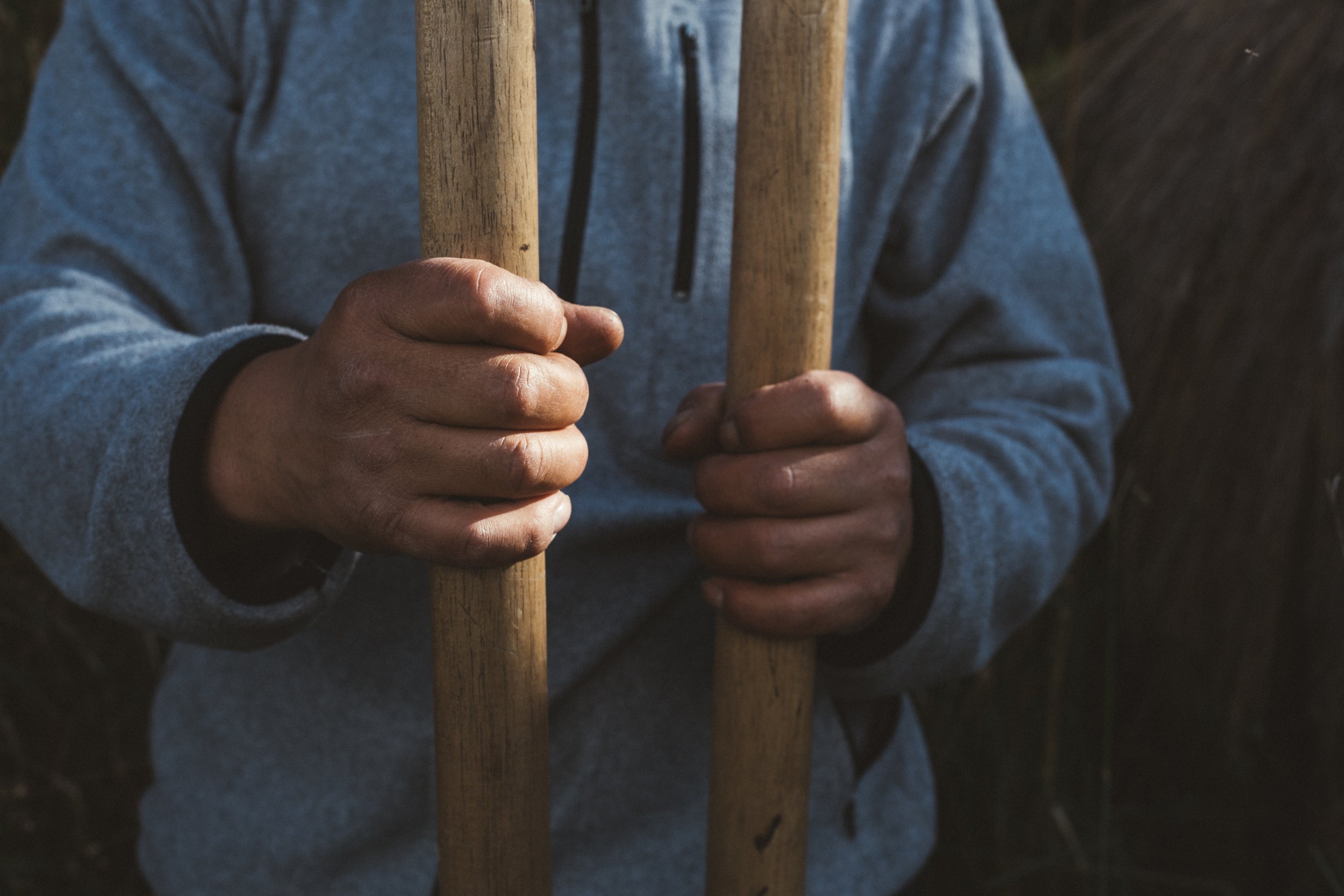 Reforestación 36.jpg