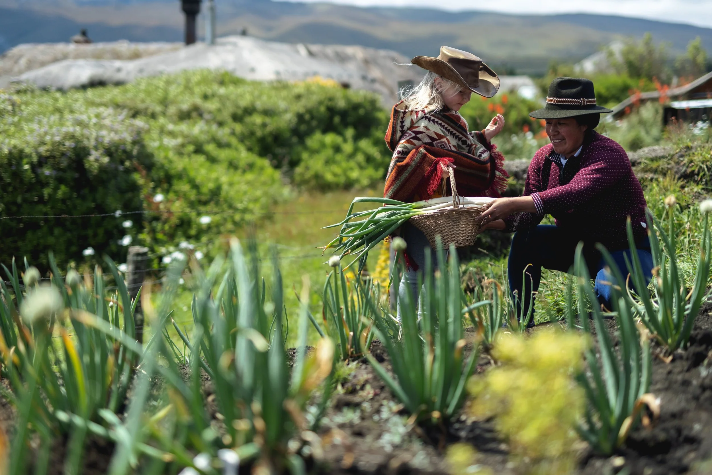 Vida de Hacienda 1.jpg