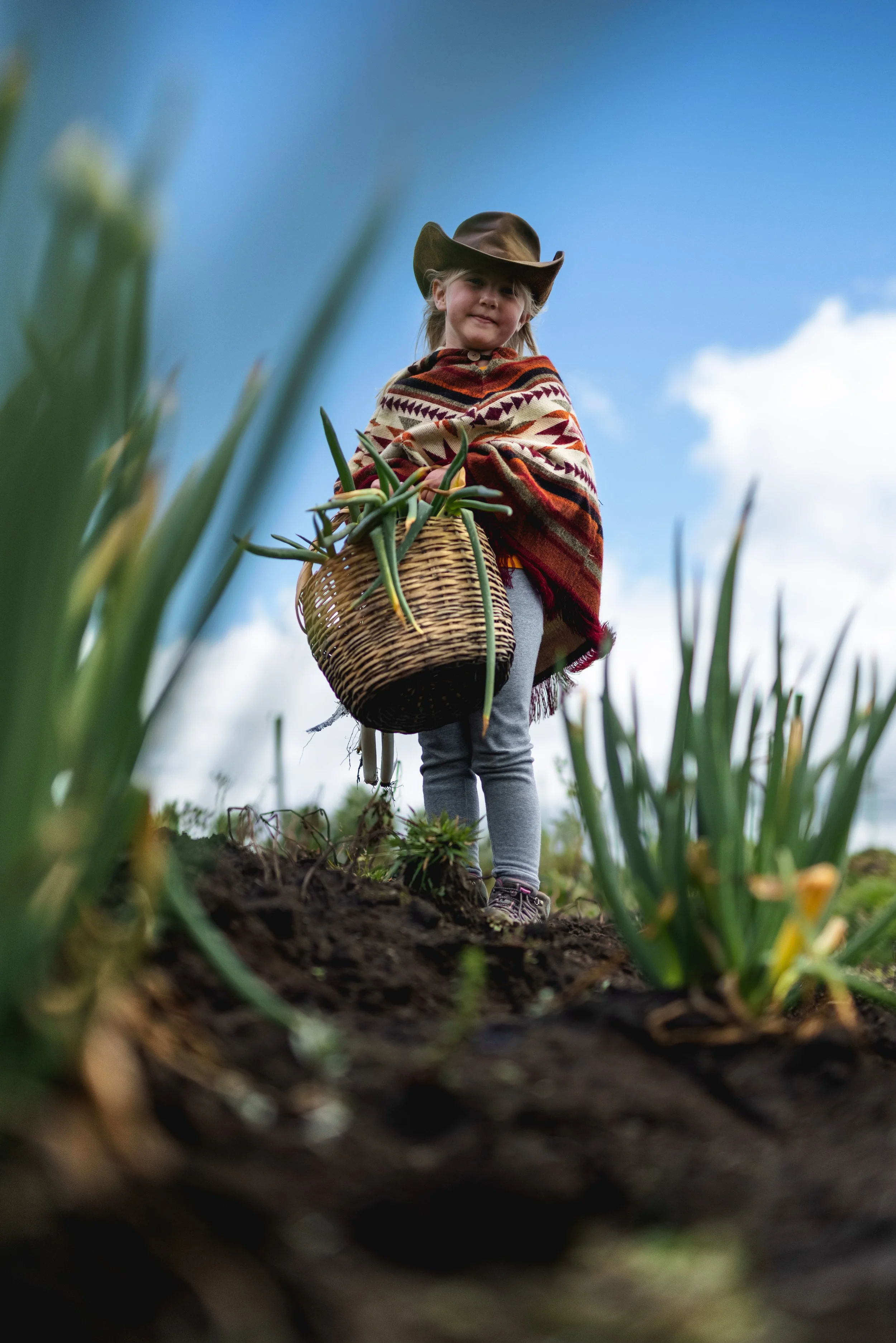 Vida de Hacienda 2.jpg