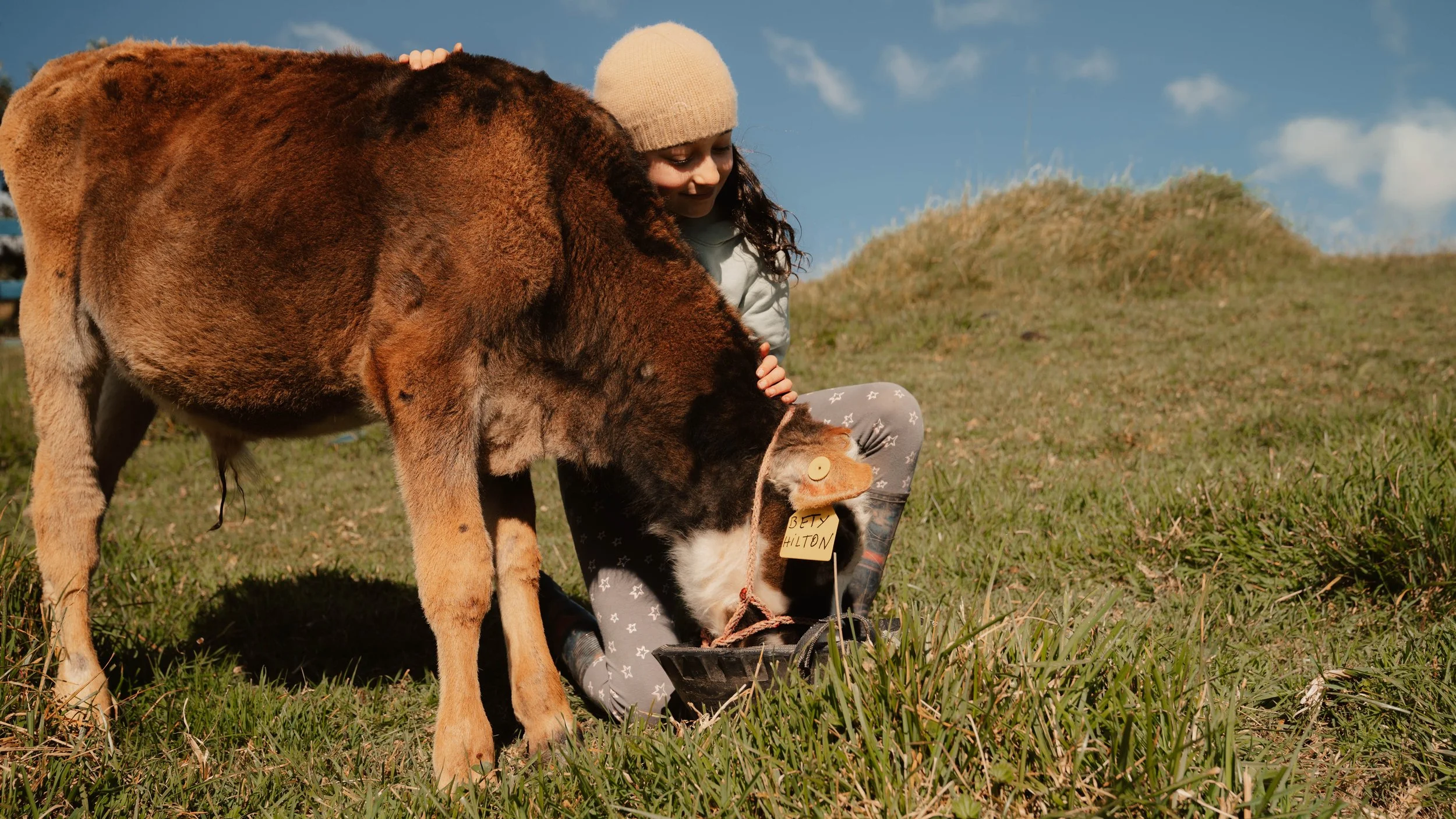 Vida de Hacienda 9.jpg