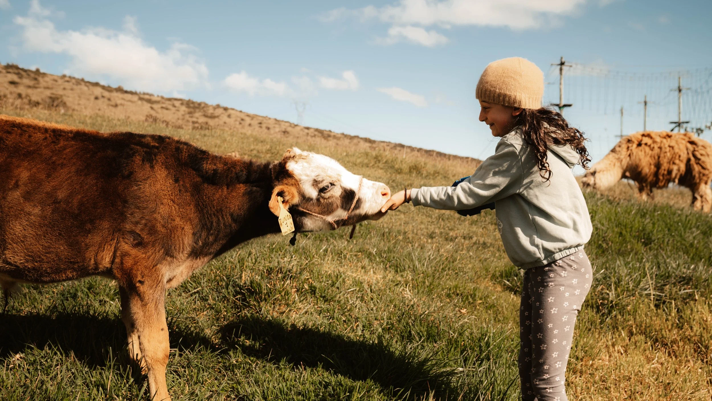 Vida de Hacienda 16(1).jpg