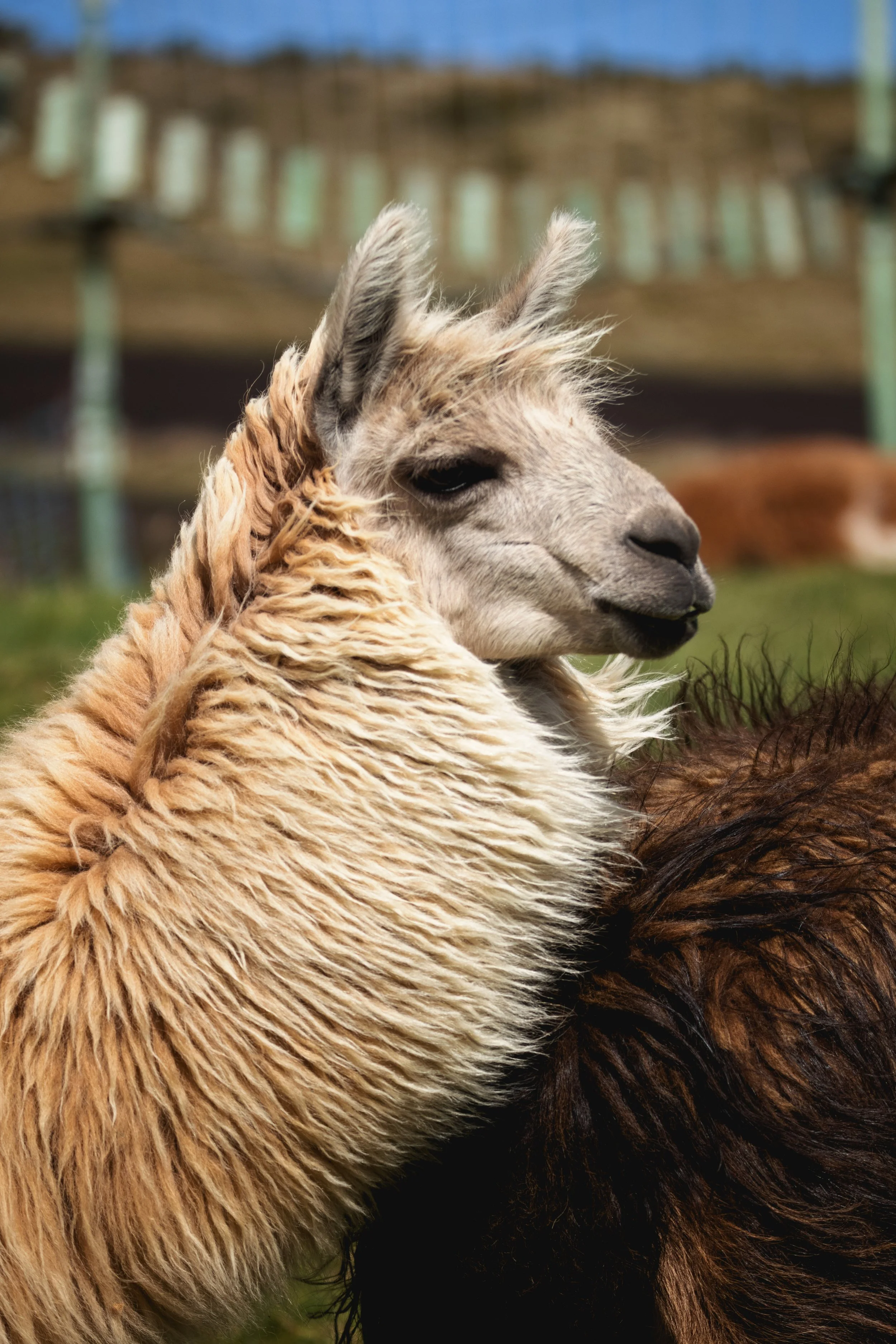 Vida de Hacienda 19.jpg