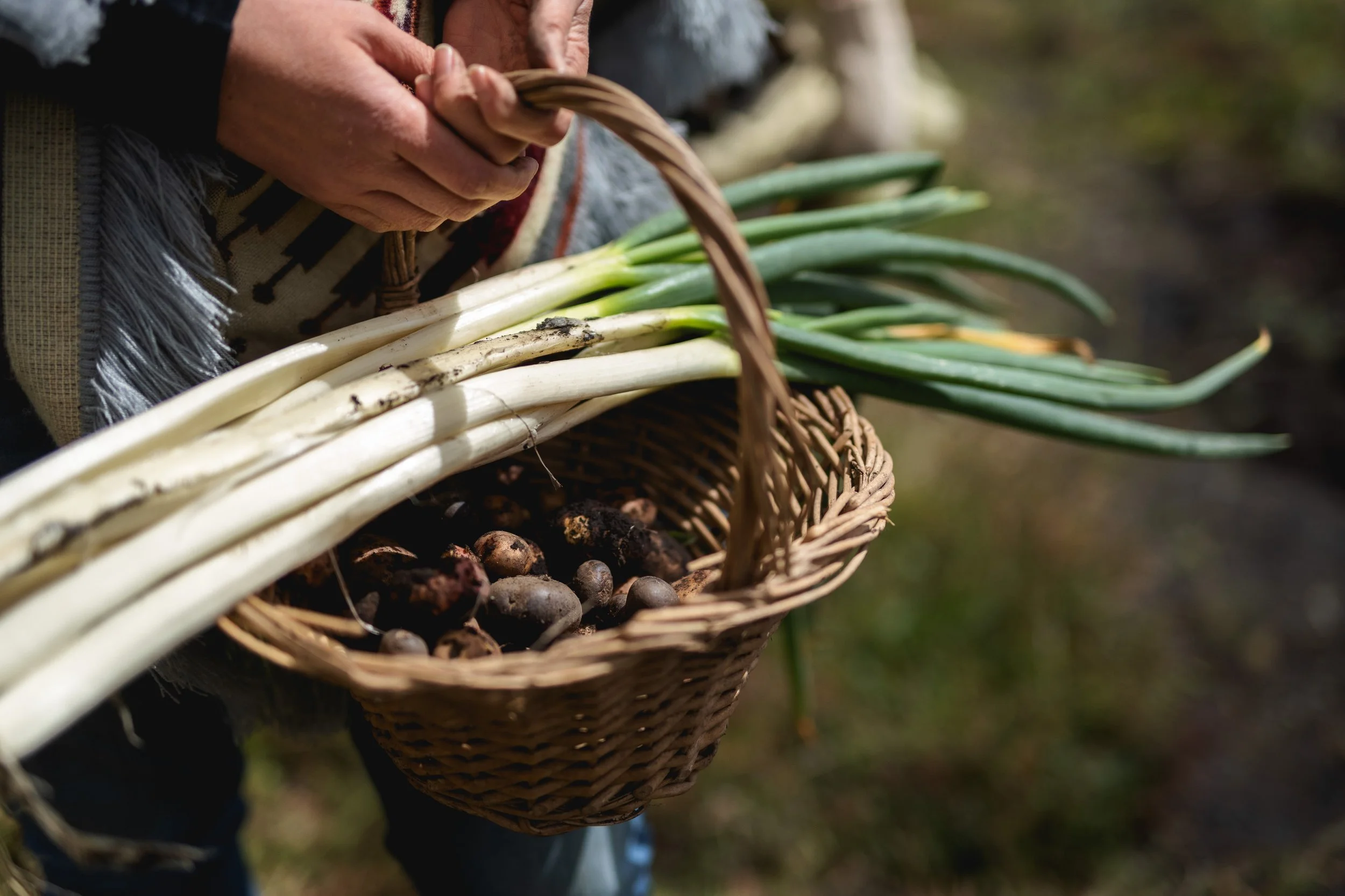 Vida de Hacienda 20.jpg