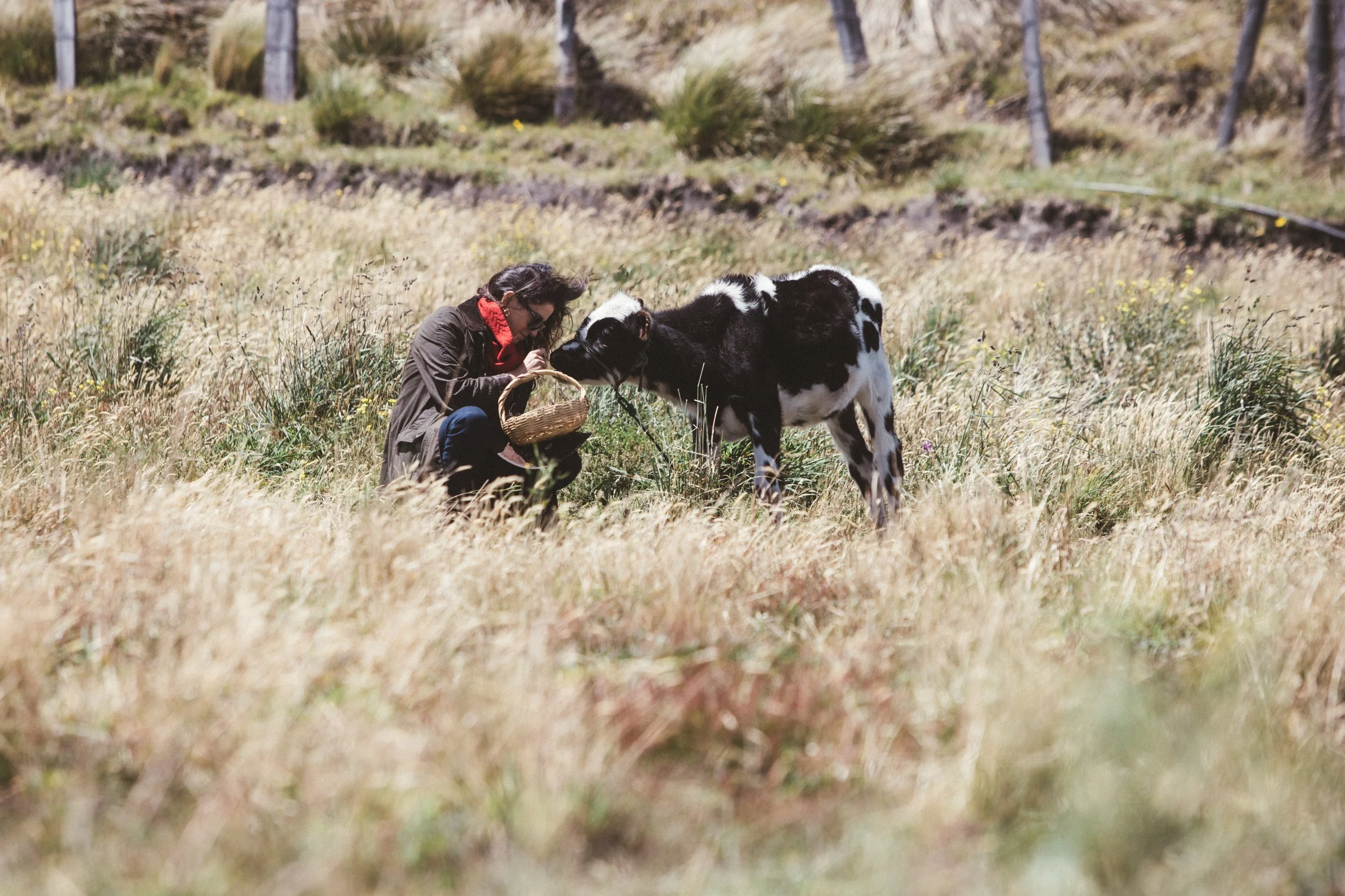 Vida de Hacienda 22.jpg