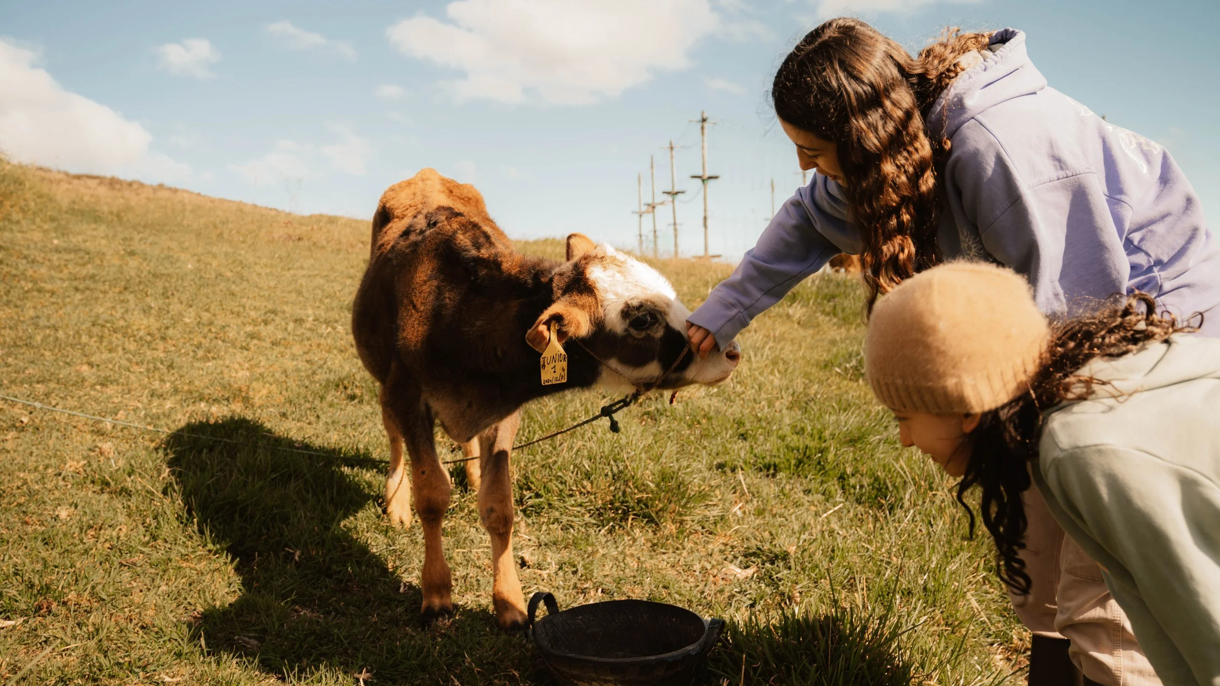 Vida de Hacienda 24.jpg