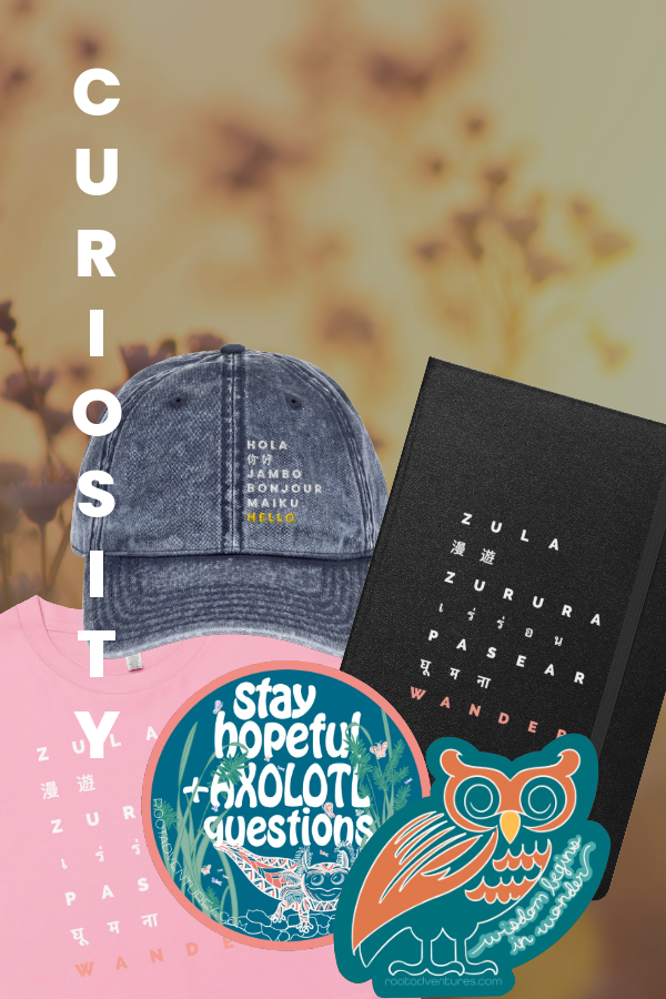 Destination Shop-2-2.png