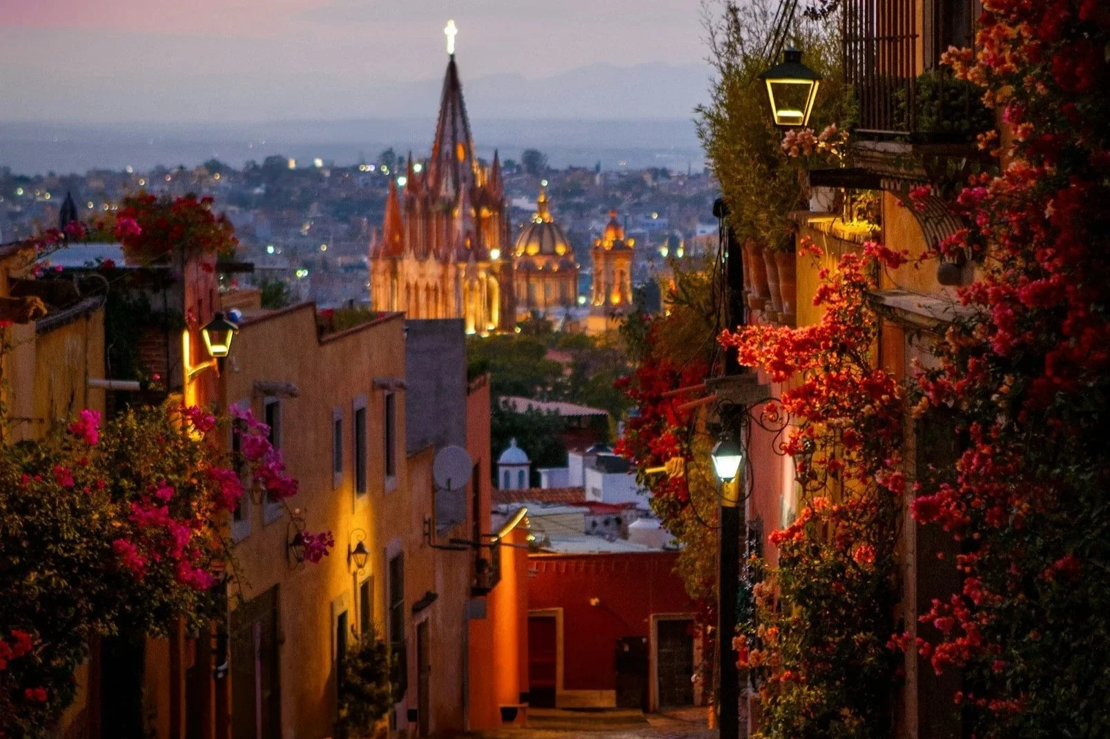 Mexico: Monarchs, Foodie & Yoga  