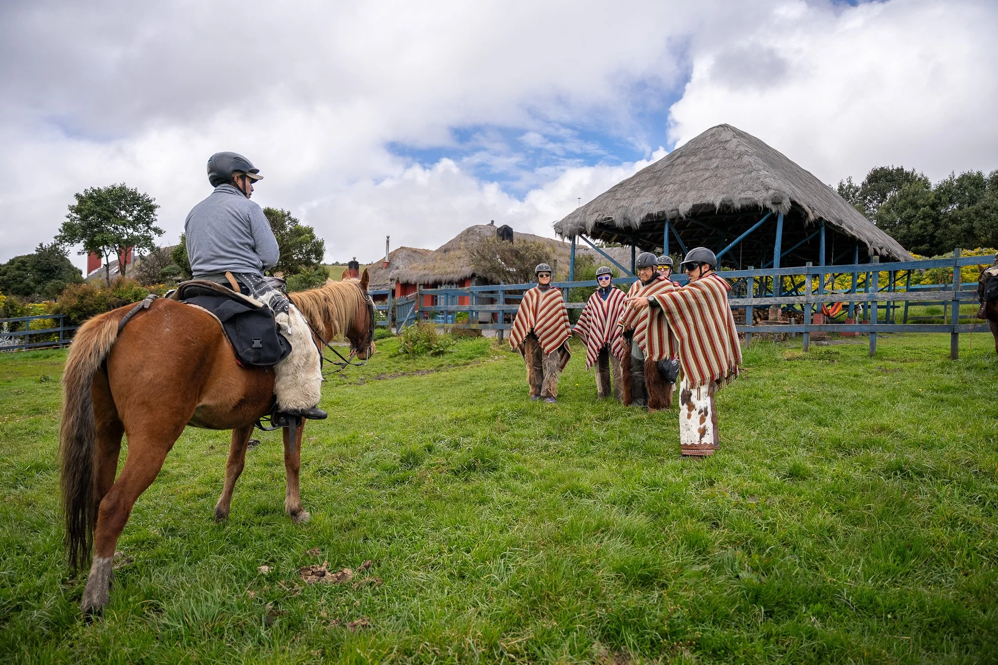 Ecuador: Medicine & Mountains