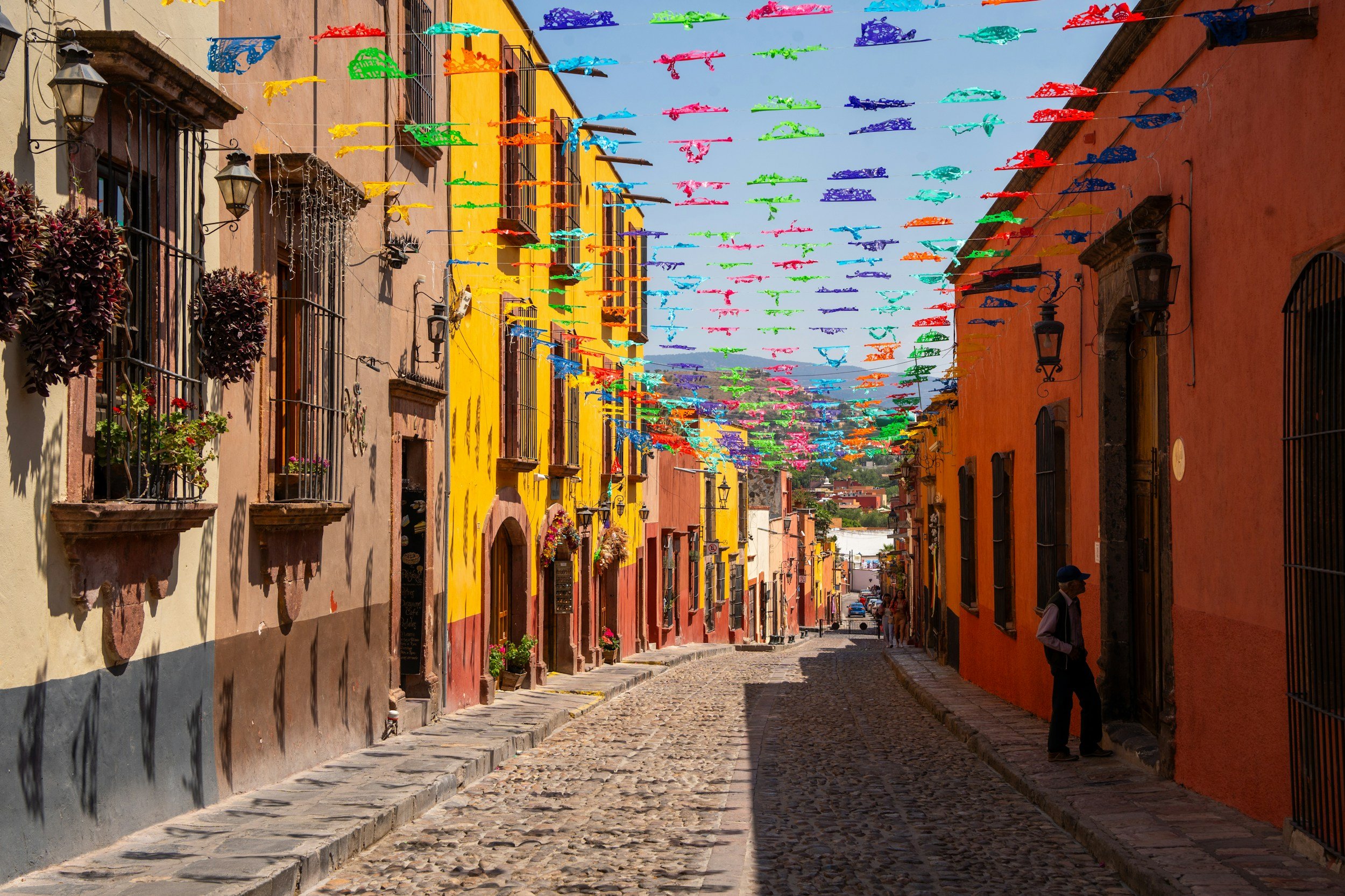 Mexico: Monarchs, Foodie & Yoga