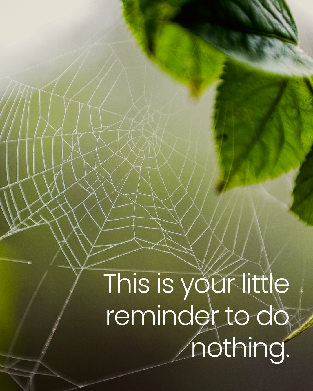 The Science of Doing Nothing: Why Your Brain Needs an "Offline State"