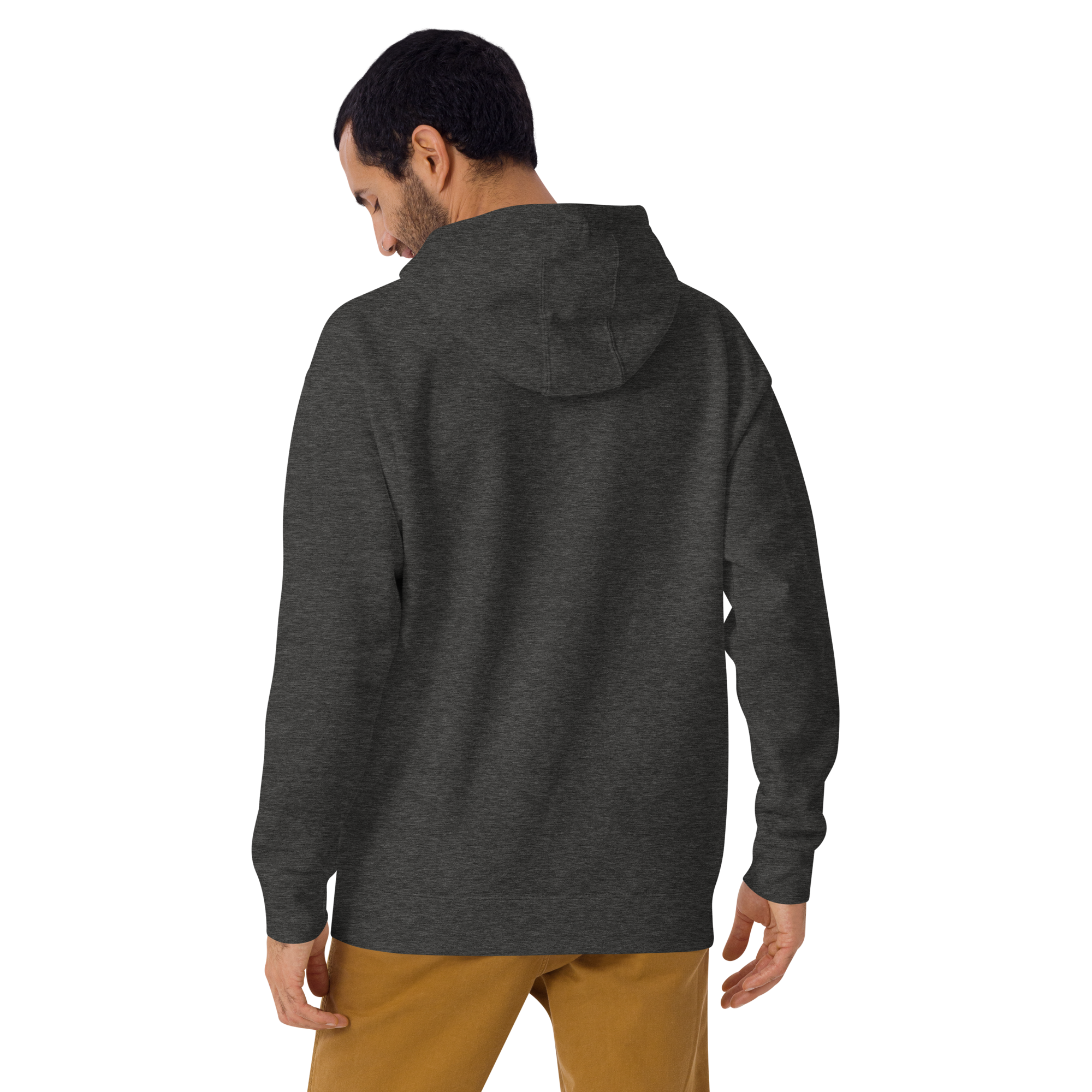 unisex-premium-hoodie-charcoal-heather-back-670ebe7fbf925.png