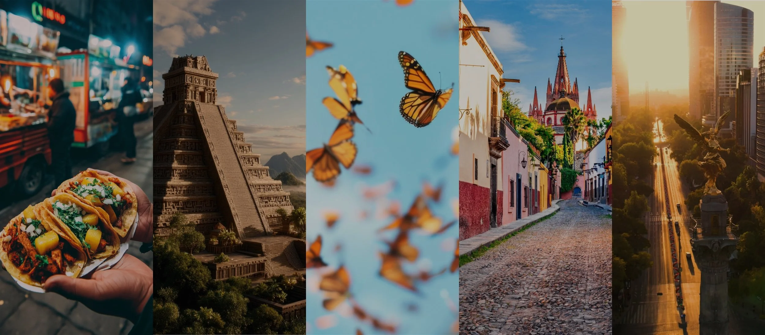 CDMX + San Miguel de Allende-1-3.jpeg